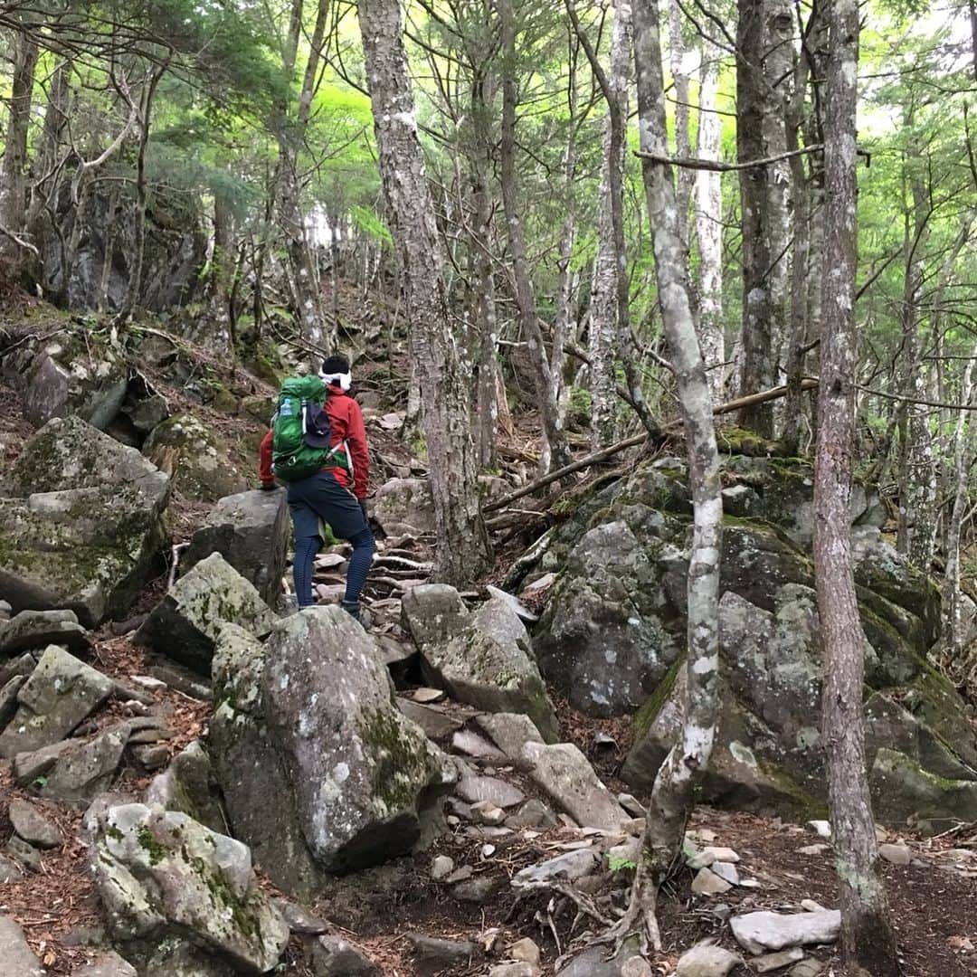 東野幸治さんのインスタグラム写真 - (東野幸治Instagram)「乾徳山のテッペン取りました！飽きない山でした。」5月31日 19時53分 - higashinodesu