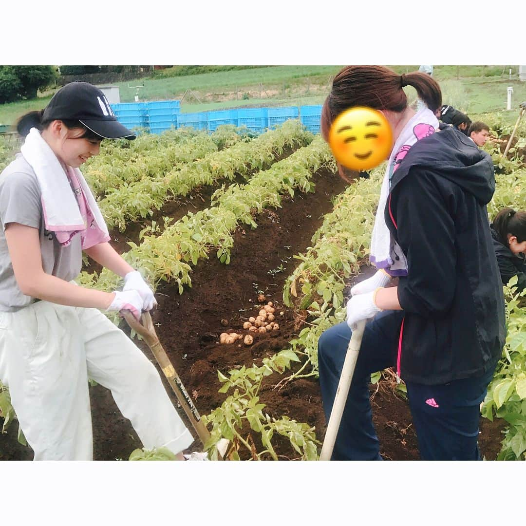 坂田莉咲さんのインスタグラム写真 - (坂田莉咲Instagram)「じゃがいも🍟  #photography #potato #農業 #じゃがいも #農業女子」5月31日 21時57分 - sakata_risa