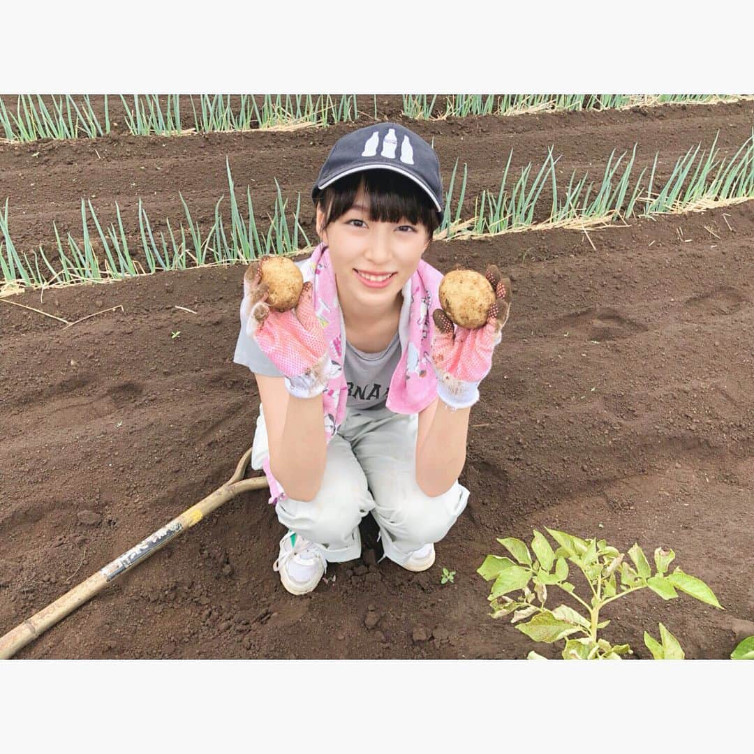 坂田莉咲さんのインスタグラム写真 - (坂田莉咲Instagram)「じゃがいも🍟  #photography #potato #農業 #じゃがいも #農業女子」5月31日 21時57分 - sakata_risa
