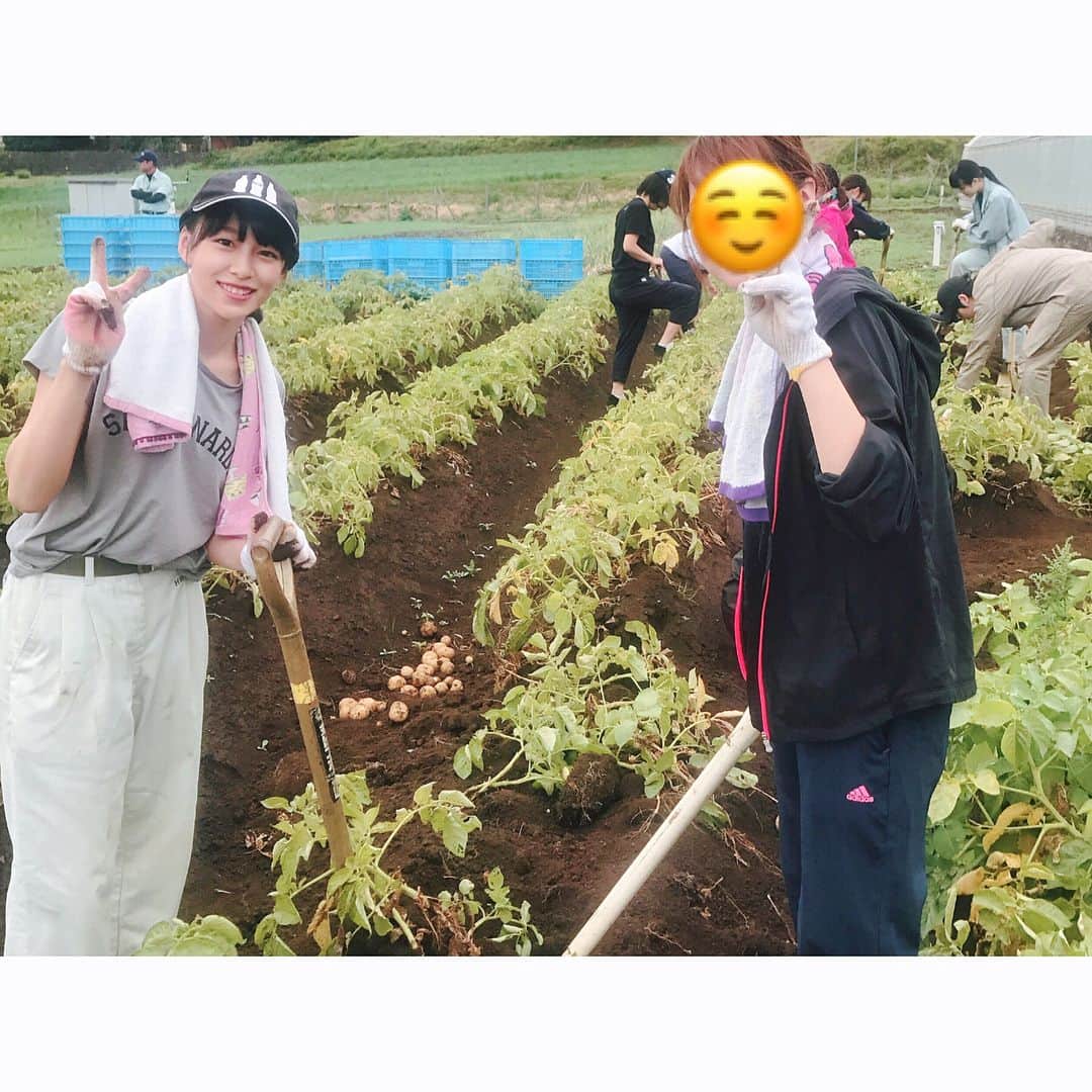 坂田莉咲さんのインスタグラム写真 - (坂田莉咲Instagram)「じゃがいも🍟  #photography #potato #農業 #じゃがいも #農業女子」5月31日 21時57分 - sakata_risa