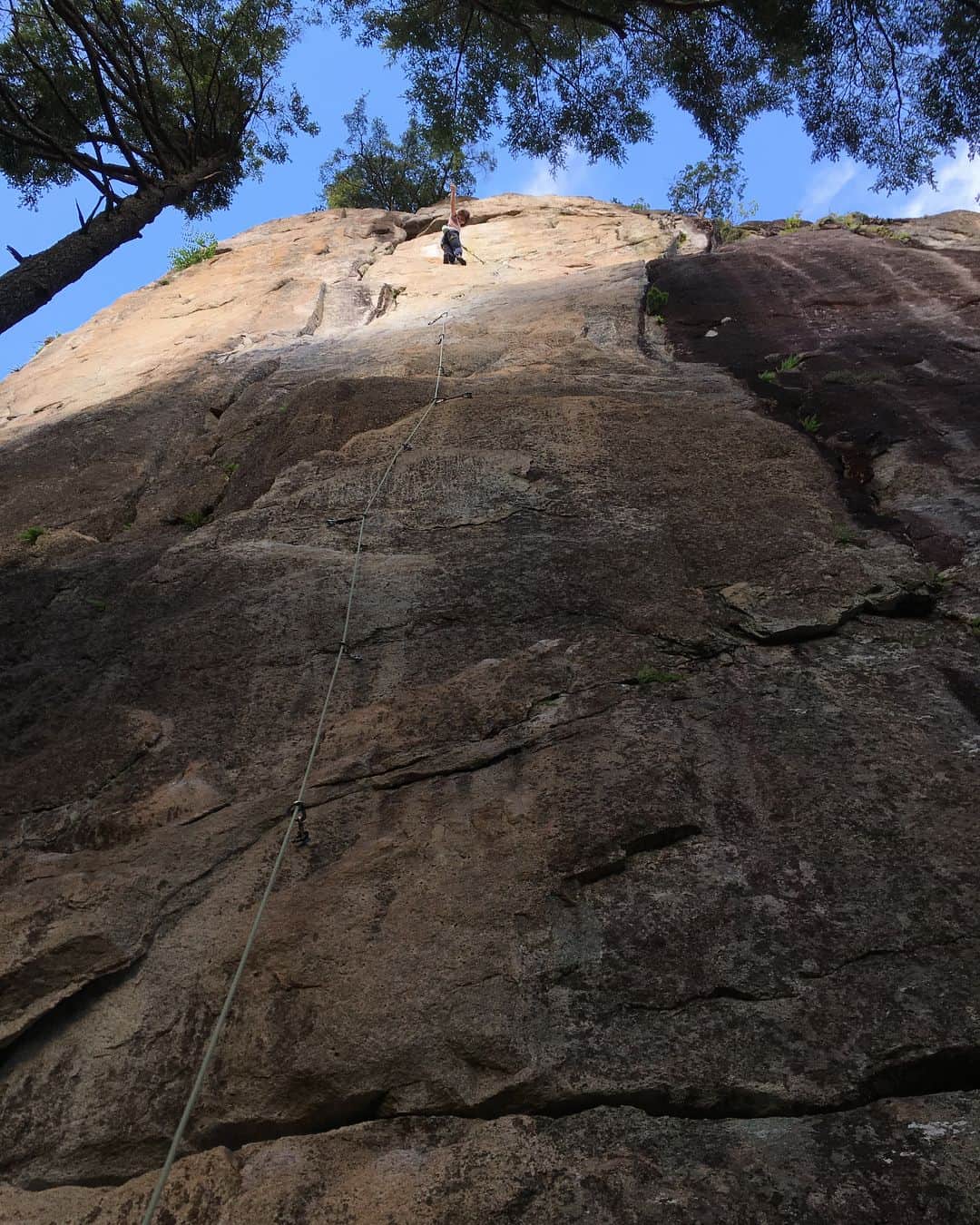 植田夢月のグルメインスタ