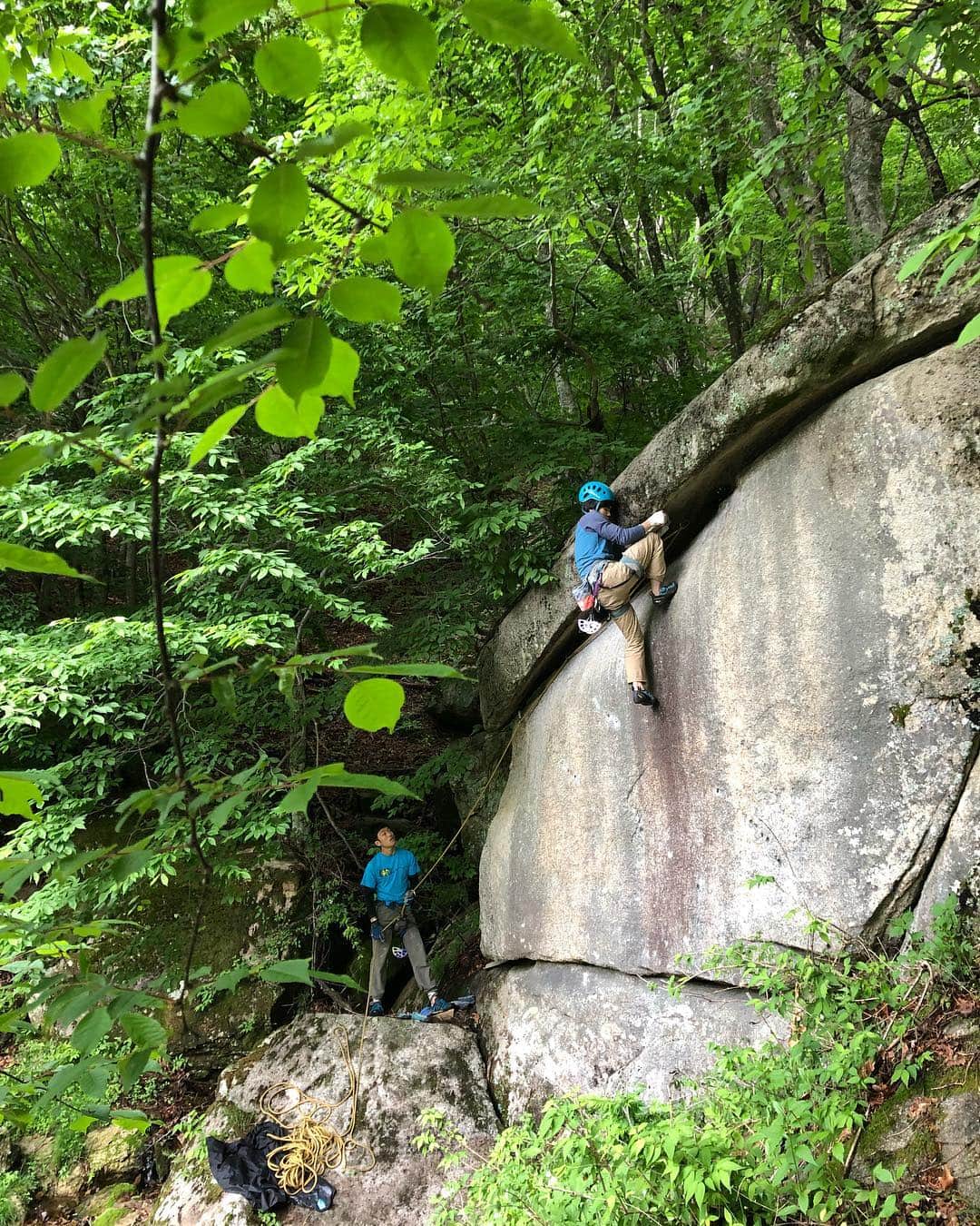 植田夢月のグルメインスタ