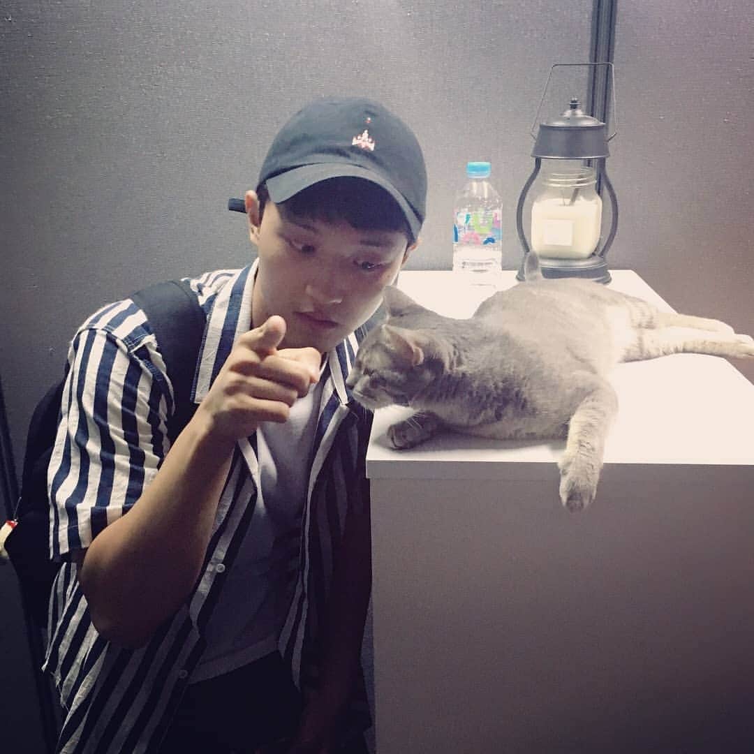 カン・ユンジェのインスタグラム：「나도 고양이 ...🐱 이름이 나비였나 눈이 진짜 예뻤었는데👀」