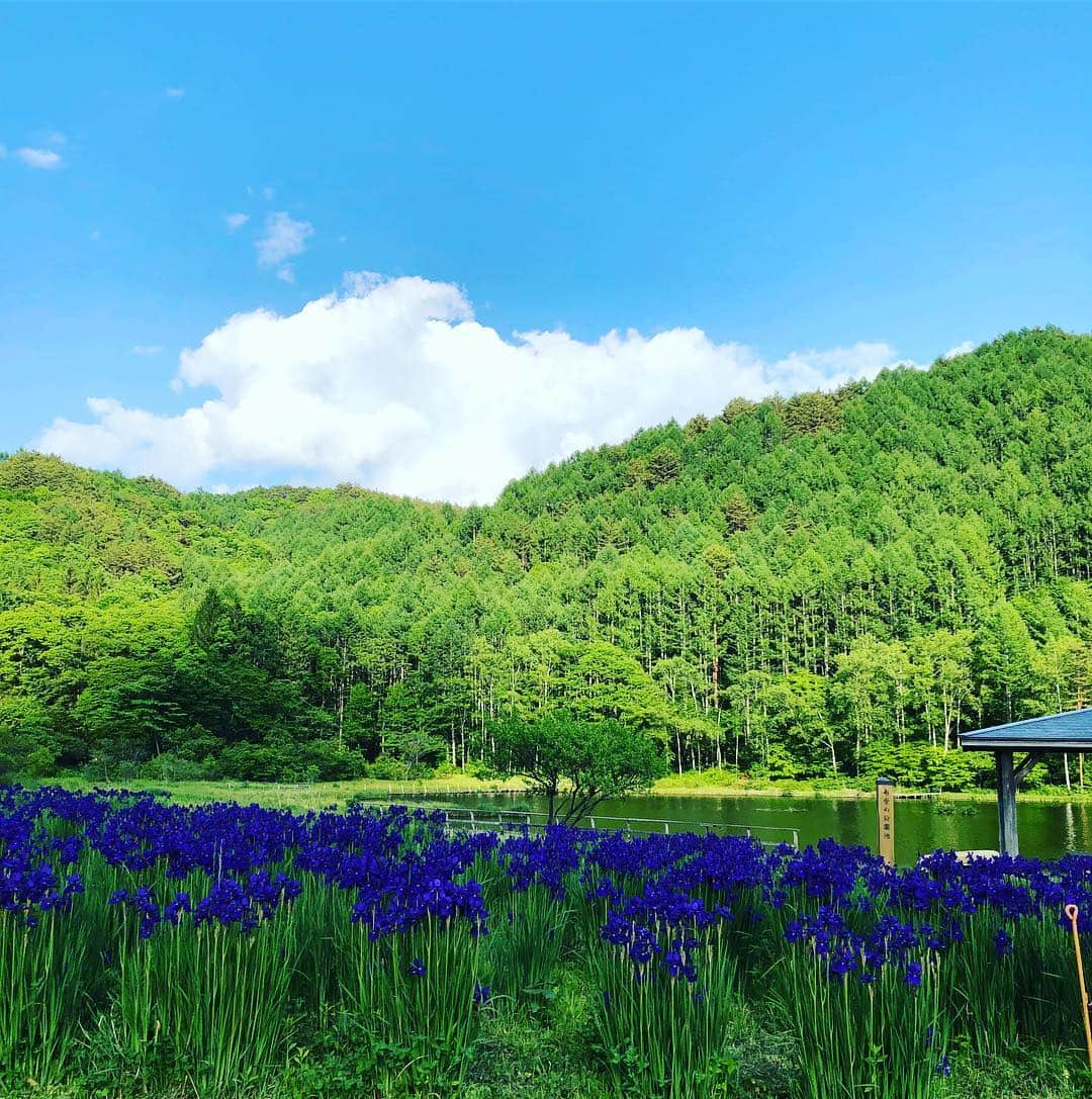 のインスタグラム：「今日はTAICO CLUB。いい天気。」