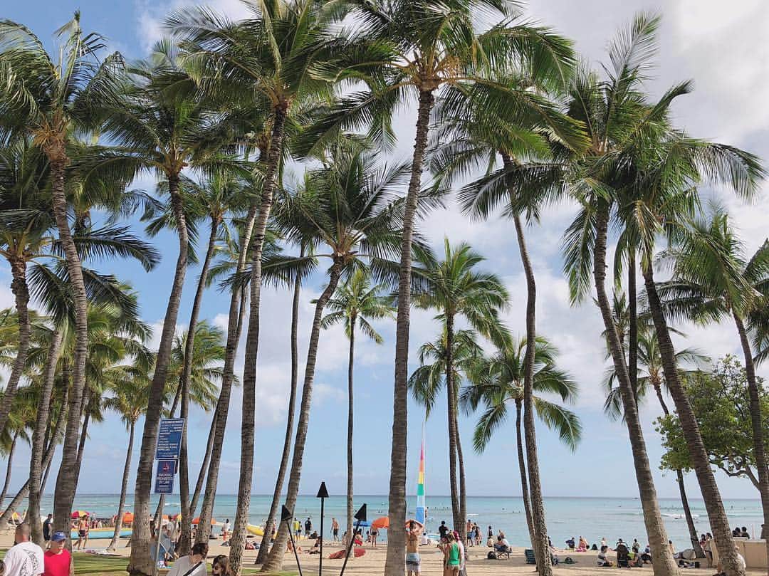 濵松里緒菜のインスタグラム：「* * * #hawaii #waikiki #waikikibeach #ハワイ #ワイキキ #ビーチ * *」
