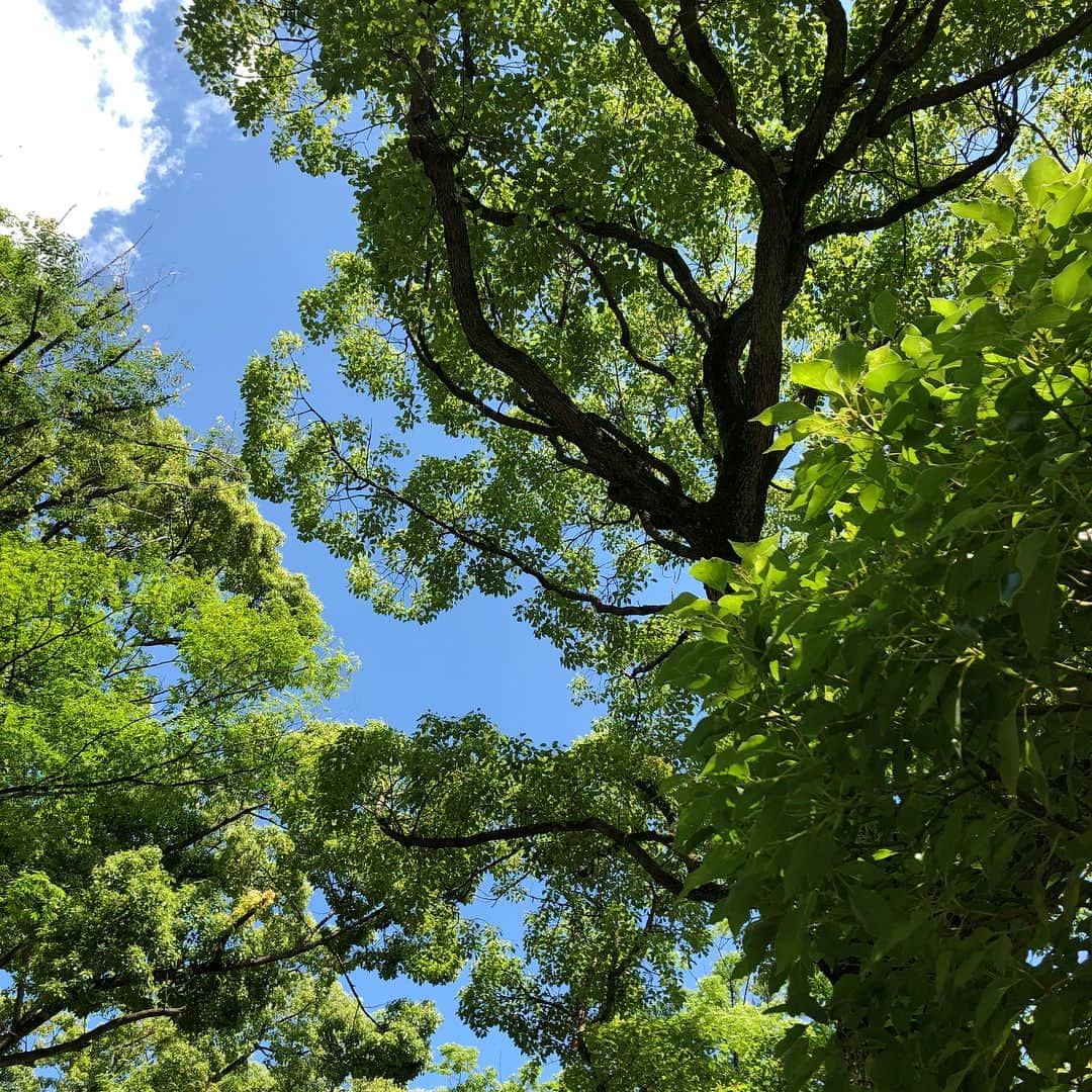 高島彩さんのインスタグラム写真 - (高島彩Instagram)「暑ーい💦 暑過ぎる💦 #公園遊びにいい季節  #日焼け止め必須  #次女と私は日陰でお絵かき #長女縦横無尽に走り回ってます」6月2日 13時42分 - aya.takashima_official_2021