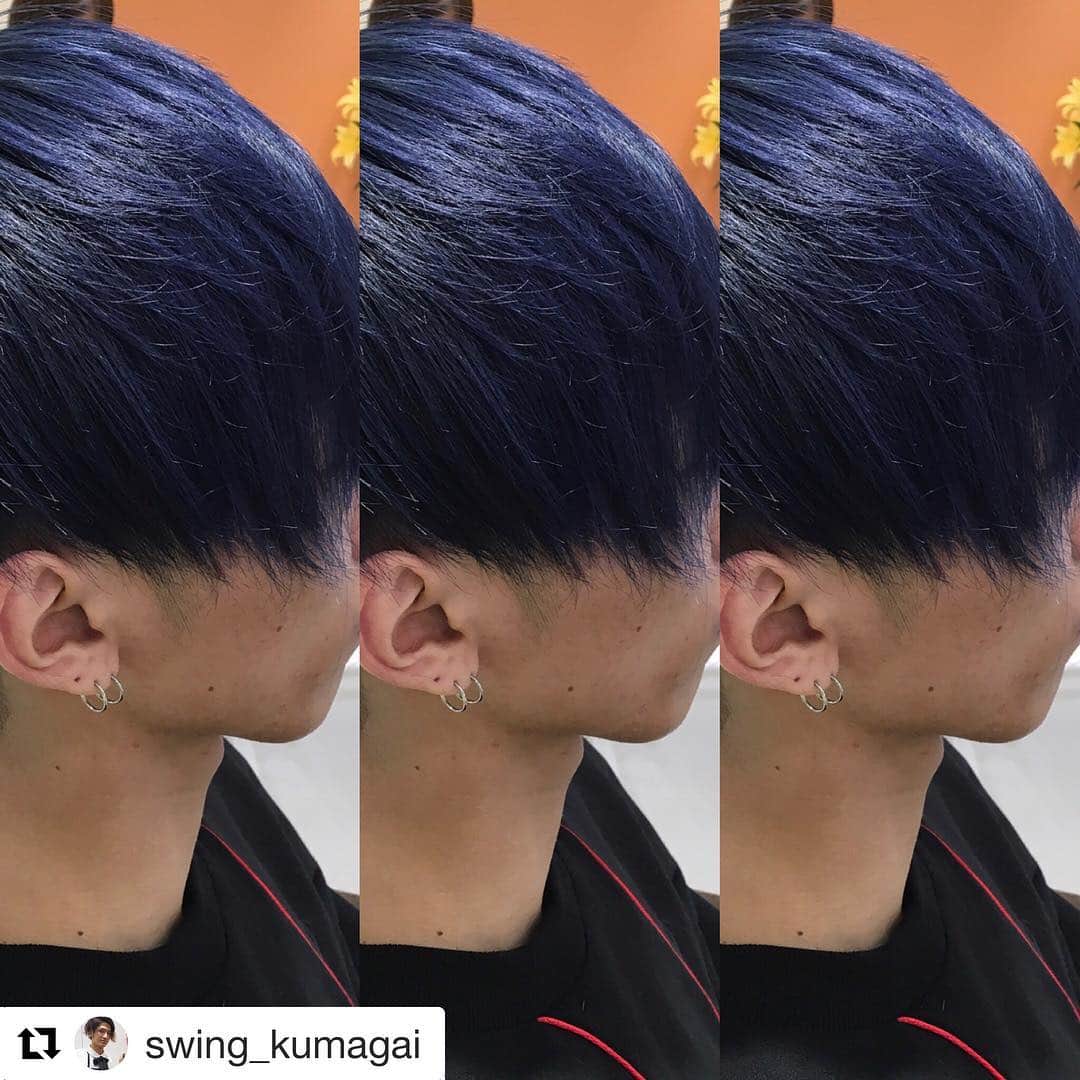 細田義樹のインスタグラム：「▷▷▷ 髪色、こんな感じになりましたとさ。 人生初の全青🙊  久々の派手髪は周りの目が気になりますなあ！ ありがとうございました！ ( @shunkumagaiii ) ( @swing_kumagai )」