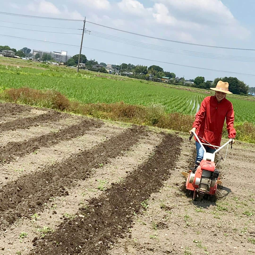 川瀬良子さんのインスタグラム写真 - (川瀬良子Instagram)「『農縁プロジェクト』 栃木県真岡市の畑で、 トマト、ナス、ピーマン、スイカの苗の 植え付けをしました♪ （写真8枚あります☀️） 畝立て機初挑戦！ まっすぐに進んで行くのが難しかった〜！ みんなでマルチを敷いて、 苗を200本植え付けました！ 暑かった〜！ けど、みんなでの作業は 楽しくてあっとゆー間です。 ＊ チームワーク完璧！と思っていたら… 最後、集合写真でジャンプしよ〜！となって 撮ってみたものの、 タイミングバラバラ😆 の、写真です🤣 （5〜8枚目の写真です😝） ＊ 植え付けをすると、 収穫に向けての楽しみ度が増しますね〜♪ お疲れさまさまでした😊👏🏻🌈 ＊ #栃木県 #真岡市 #リス村 #リス村ふれあいの里  #農縁プロジェクト  #畑 #農業 #農作業 #菜園 #野菜作り #土 #畝 #畝たて #苗 #植え付け #トマト #ナス #ピーマン #スイカ 大好きなので 植え付けからテンション上がりました！ #収穫 の楽しみ #集合写真 #ジャンプ  #農業女子 #workwear #農作業着 は #クリフメイヤー #ソラシタ #長靴 #帽子 #農家 さんに感謝です😊」6月3日 20時27分 - kawase_ryoko