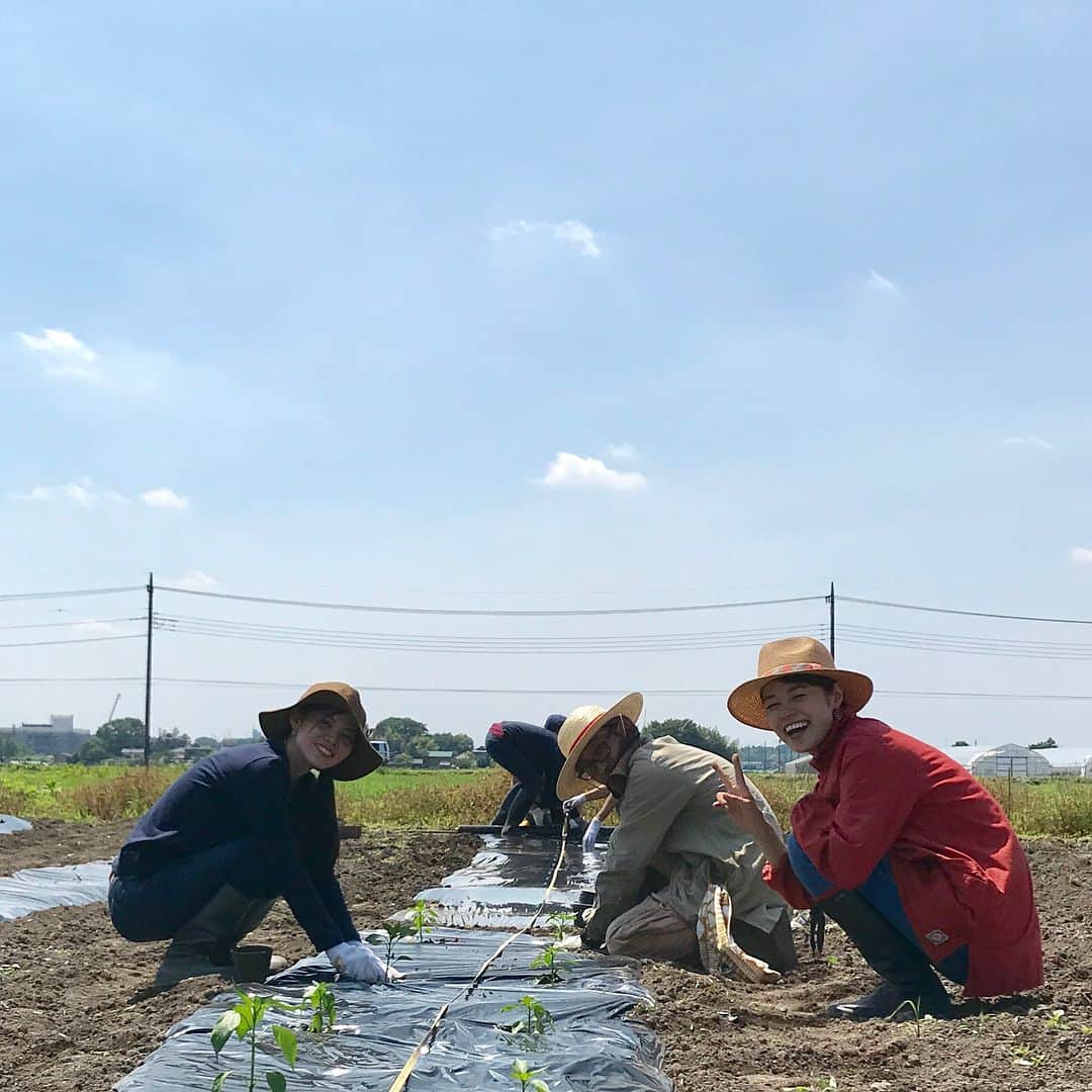 川瀬良子さんのインスタグラム写真 - (川瀬良子Instagram)「『農縁プロジェクト』 栃木県真岡市の畑で、 トマト、ナス、ピーマン、スイカの苗の 植え付けをしました♪ （写真8枚あります☀️） 畝立て機初挑戦！ まっすぐに進んで行くのが難しかった〜！ みんなでマルチを敷いて、 苗を200本植え付けました！ 暑かった〜！ けど、みんなでの作業は 楽しくてあっとゆー間です。 ＊ チームワーク完璧！と思っていたら… 最後、集合写真でジャンプしよ〜！となって 撮ってみたものの、 タイミングバラバラ😆 の、写真です🤣 （5〜8枚目の写真です😝） ＊ 植え付けをすると、 収穫に向けての楽しみ度が増しますね〜♪ お疲れさまさまでした😊👏🏻🌈 ＊ #栃木県 #真岡市 #リス村 #リス村ふれあいの里  #農縁プロジェクト  #畑 #農業 #農作業 #菜園 #野菜作り #土 #畝 #畝たて #苗 #植え付け #トマト #ナス #ピーマン #スイカ 大好きなので 植え付けからテンション上がりました！ #収穫 の楽しみ #集合写真 #ジャンプ  #農業女子 #workwear #農作業着 は #クリフメイヤー #ソラシタ #長靴 #帽子 #農家 さんに感謝です😊」6月3日 20時27分 - kawase_ryoko