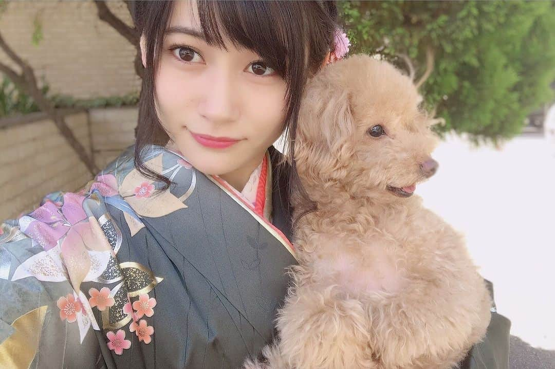 江藤彩也香さんのインスタグラム写真 - (江藤彩也香Instagram)「べりーさんと振袖と私。 . カメラ向けると可愛くない顔する７才♀（推定46） #愛犬 #べりたん#トイプードル #振袖 #自撮り #kimono #selfie #mydog #cute #love #instadog #instagood #toypoodle #cool #followme #👘 #❤︎ #江藤彩也香」6月3日 13時07分 - sayakadayo_