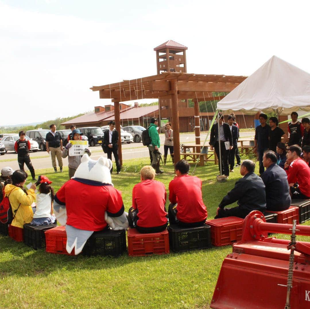 ドーレくんのグルメインスタ