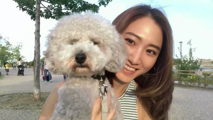 白雪のグルメインスタ