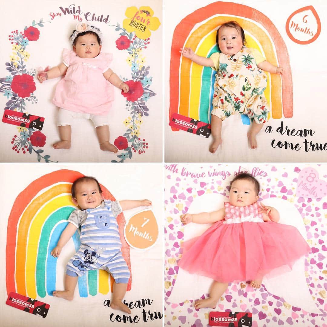 blossom39_officialのインスタグラム：「本日のベビー撮影会にご参加くださった皆様をご紹介します♪♪ ご紹介7枚目です♡ ご参加くださった皆様、ありがとうございました！ #撮影会#ベビー撮影会#メモリアルフォト#blossom39東武池袋店#ルルジョ#lulujo#マイルストーンカードセット#blossom39#happyily#ブロッサム39#ハピリィ#フォト」