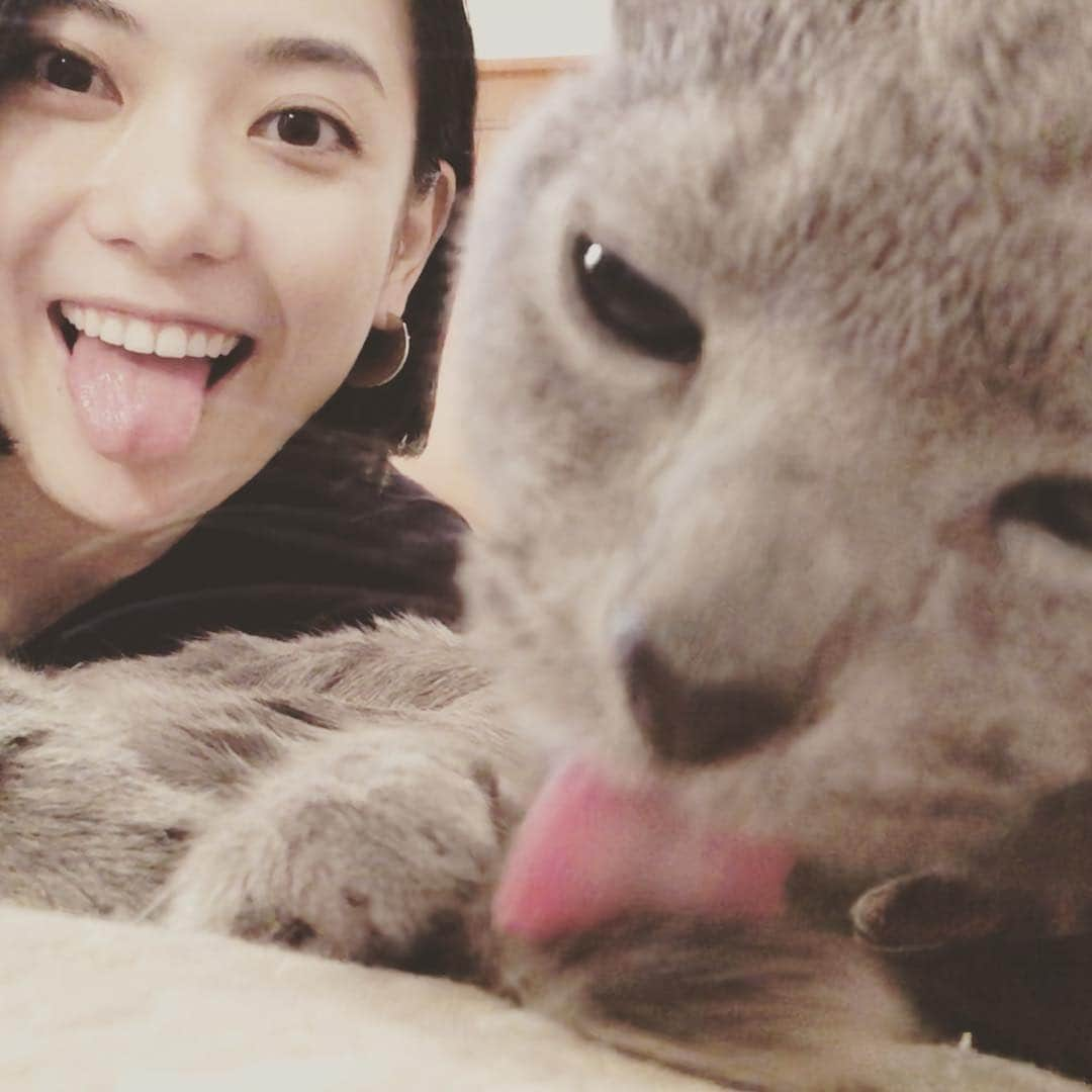 田中えみさんのインスタグラム写真 - (田中えみInstagram)「いよいよ梅雨が近づいてきたねー。 愛猫の後ろでふざけてみました。 イメージは、ニュースのお天気コーナーの後ろでピースしてる人です。ごめんちゃい」6月3日 21時51分 - emiitanakaa