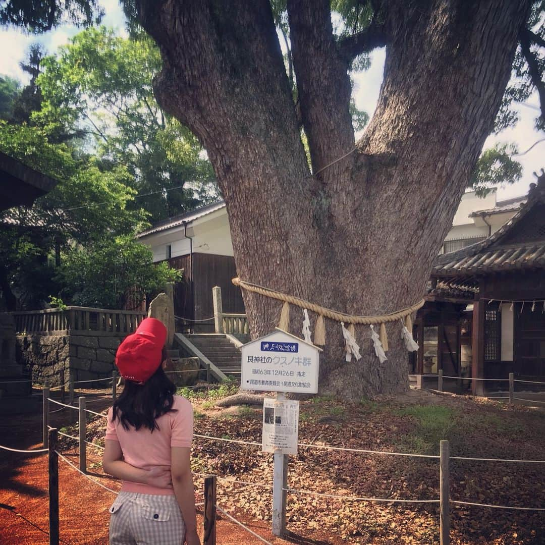 中西希さんのインスタグラム写真 - (中西希Instagram)「尾道好きだなーー🚅 #千光寺 #猫の細道 #おだやかな休日 #海のある生活 #艮神社のクスノキ群 を見たときの衝撃は格別 #心がスッキリ晴れた #終日いても飽きない町」6月3日 22時14分 - nakanishi.nozomi