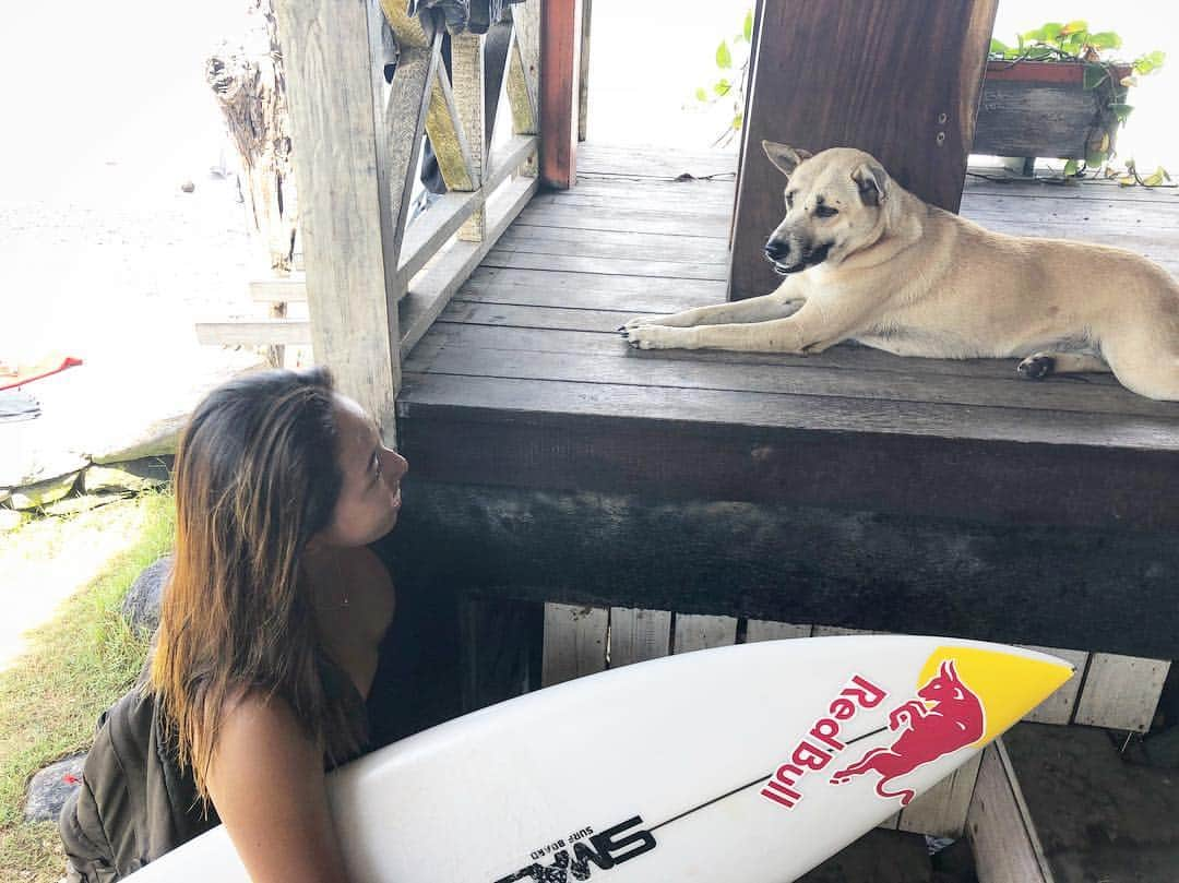 川合美乃里さんのインスタグラム写真 - (川合美乃里Instagram)「バリのワンコ 🐕🍖💓」6月4日 19時52分 - minorikawai