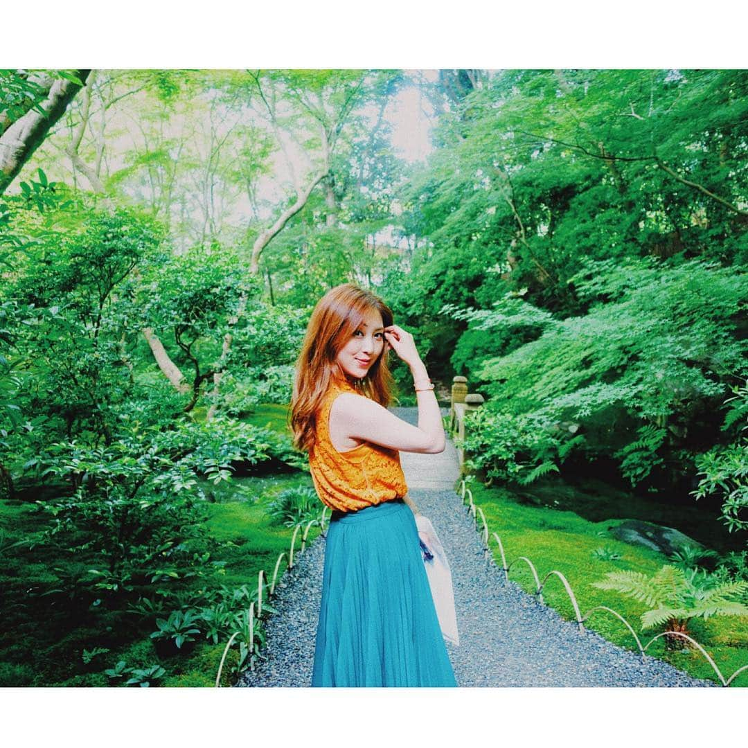 辰巳奈都子さんのインスタグラム写真 - (辰巳奈都子Instagram)「先日の京都🌿青もみじの季節でした マイナスイオン大量放出〜🕊 #kyoto#japan #trip #may #calm #chill #瑠璃光院 #トリップたつみ  #京都#青もみじ」6月4日 22時00分 - tatsumi_natsuko