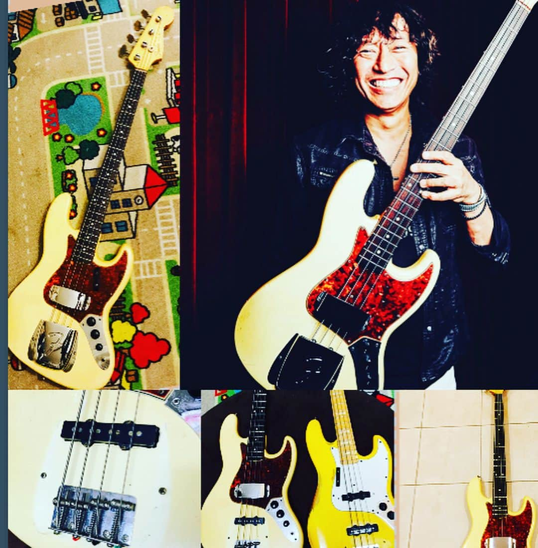 日野賢二さんのインスタグラム写真 - (日野賢二Instagram)「My Fender Axes 僕のふぇんだー コレクション、はちょっと 変だ〜 だから 大変だ〜 #fender #fenderbass  #fenderjazzbass #fenderprecision  #fenderpbass #fenderamp  #vintagefender #bassguitar  #bass #bassist  #bassplayer  #fenderamp #fenderbassman #jinobass #kenjihino #instabass #bassman #kenjijinohino #instabass #bassporn #bassmagazine #bassist  #日野賢二 #日野ジノ賢二 #日野jino賢二 #日野賢二jino  #フェンダー #ジーノ #ジャズベース #プレベ #プレシジョンベース #フェンダーベースマン #ベースマガジン ＃モナコイエロー」6月5日 2時17分 - jinobass