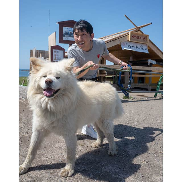 わさおさんのインスタグラム写真 - (わさおInstagram)「wasao_officialwith celebrity in a month, series #4 Kohei Fukuda ,a singer of Japanese Enka.(4-June) ここ一ヶ月の著名人とご一緒シリーズ #4 #福田こうへい さん：演歌歌手（6月4日）  本日、五所川原公演なのだそうです。  #busakawa #longhair #longcoat #akitainu #dog #wasao  #ぶさかわ #長毛 #秋田犬 #わさお #南部蝉しぐれ #天竜流し」6月5日 8時00分 - wasao_official