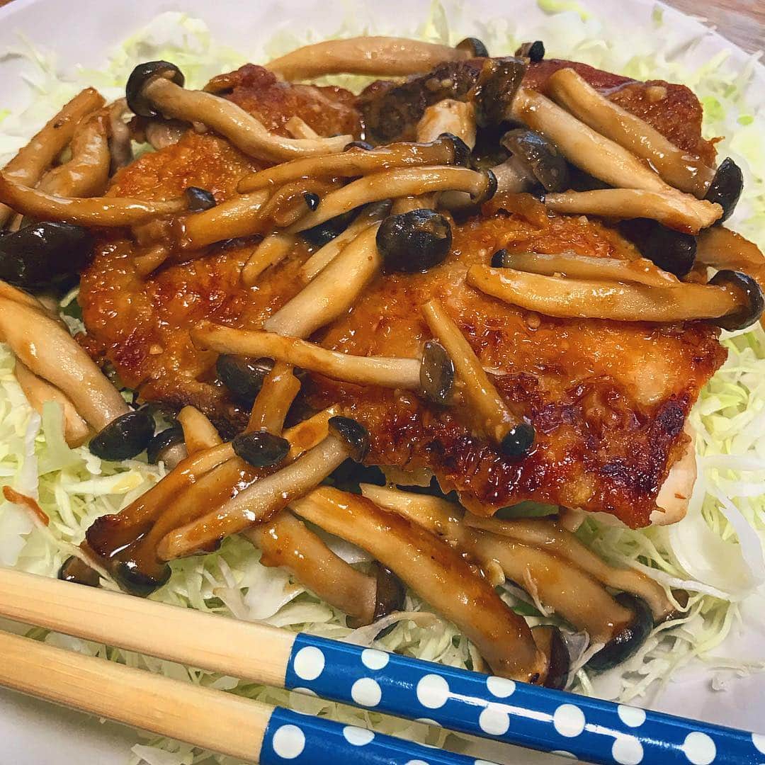 琴葉とこのインスタグラム
