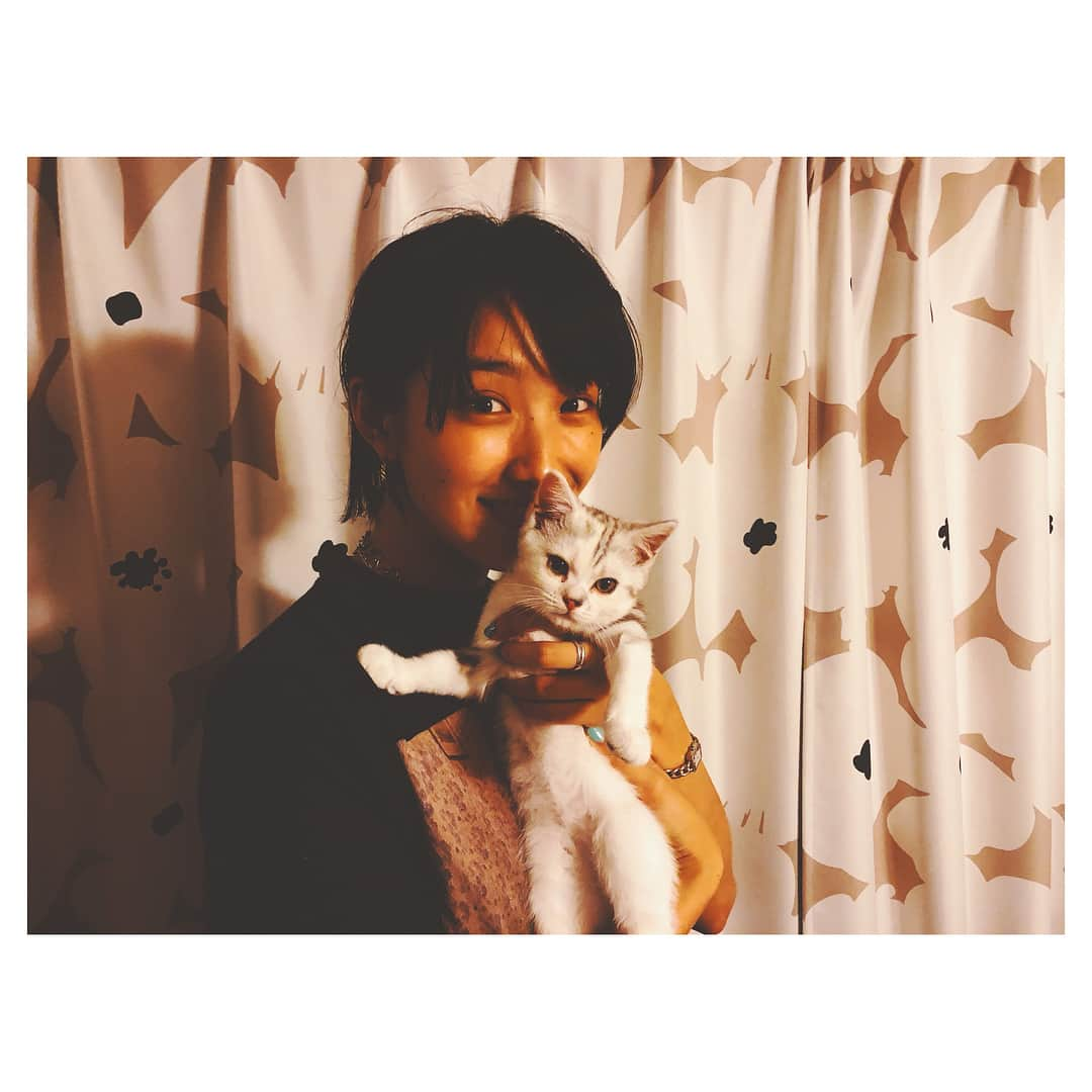 岡本玲さんのインスタグラム写真 - (岡本玲Instagram)「. 昨日家に遊びに来てくれたクルミ @kurumi_nakata 🐈 久しぶりにだらだらとくだらない話してました✌︎ 楽しかったなぁ。気を遣わない友達って貴重。 考え方も生き方も好みもきっと少しずつ違うけど、 その違いをお互い大事にできて、この先も リスペクトし合えるといいなって思う友達。 クルミ遊んでくれてありがとー！ お土産もありがとー！！ . 猫なのに抱っこもへっちゃらなとろろさん。 でもね、ごめんね、わかるよ、その右手で。笑」6月5日 11時02分 - rei_okamoto