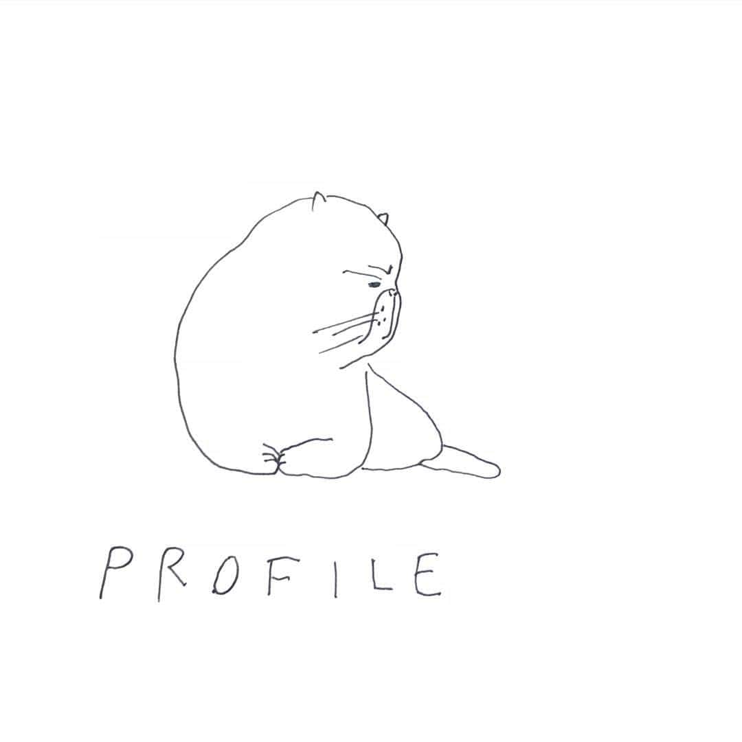 ハルペイさんのインスタグラム写真 ハルペイinstagram なんやらバタバタしてました 横顔って英語で Profile 知らなかった エキゾチックショートヘア の横顔が好き Exoticshorthair 横顔 ぶさかわ猫 動物イラスト Doodle Draw Drawing Illustrator