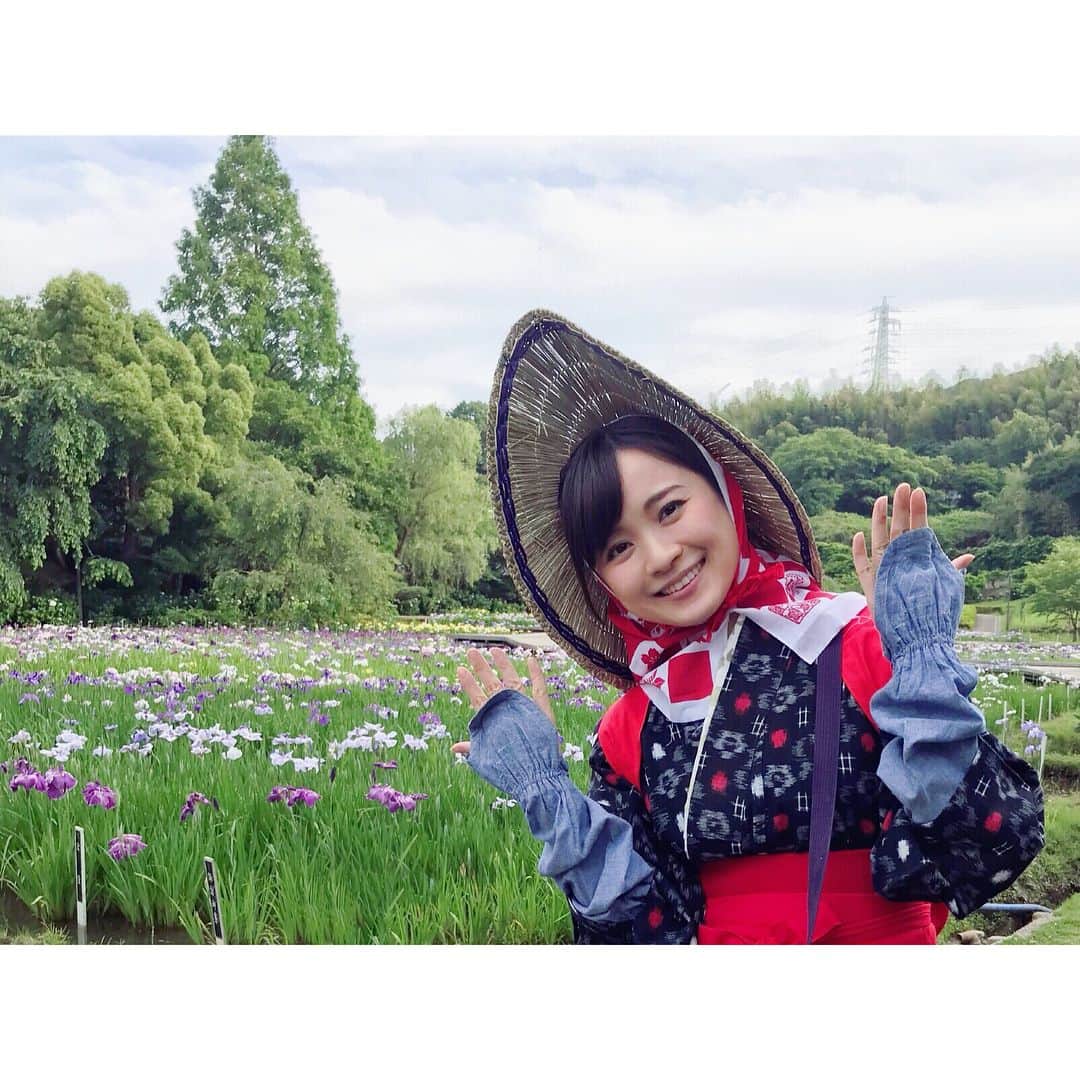 繁田美貴さんのインスタグラム写真 - (繁田美貴Instagram)「*＊ 『よじごじDays』中継からの帰り道です。 ちょっぴり渋滞中。 あ！動いた♪ #よじごじDays では #花しょうぶまつり 開催中の #横須賀しょうぶ園 から #生中継 #ハナショウブ  #花殻摘み を体験させて頂きました♪ #今日はもう一つ #生放送 #日経プラス10  #BSジャパン 22:00〜です！」6月5日 18時14分 - handa_miki