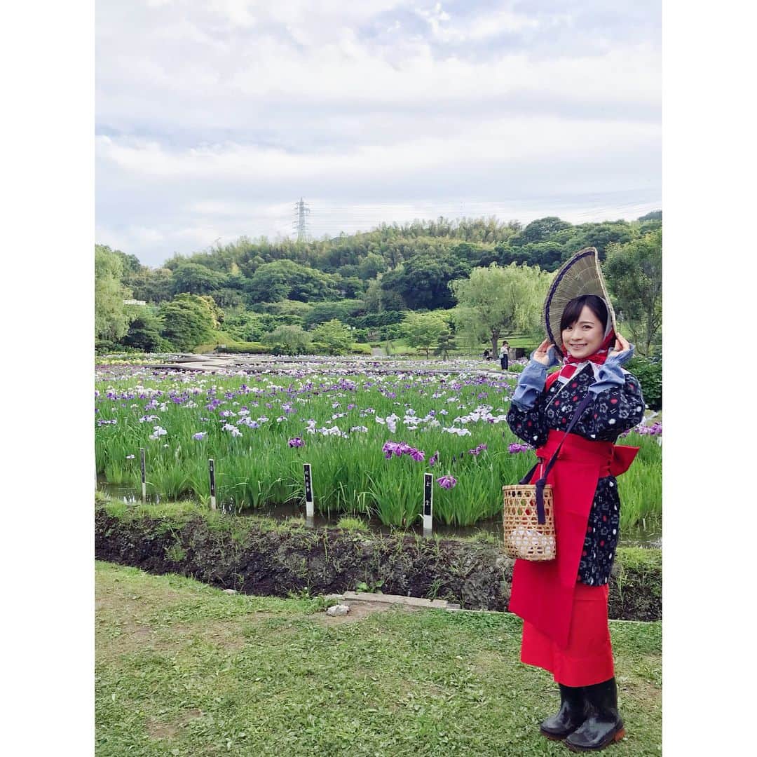 繁田美貴さんのインスタグラム写真 - (繁田美貴Instagram)「*＊ 『よじごじDays』中継からの帰り道です。 ちょっぴり渋滞中。 あ！動いた♪ #よじごじDays では #花しょうぶまつり 開催中の #横須賀しょうぶ園 から #生中継 #ハナショウブ  #花殻摘み を体験させて頂きました♪ #今日はもう一つ #生放送 #日経プラス10  #BSジャパン 22:00〜です！」6月5日 18時14分 - handa_miki