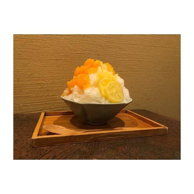 松井玲奈のインスタグラム