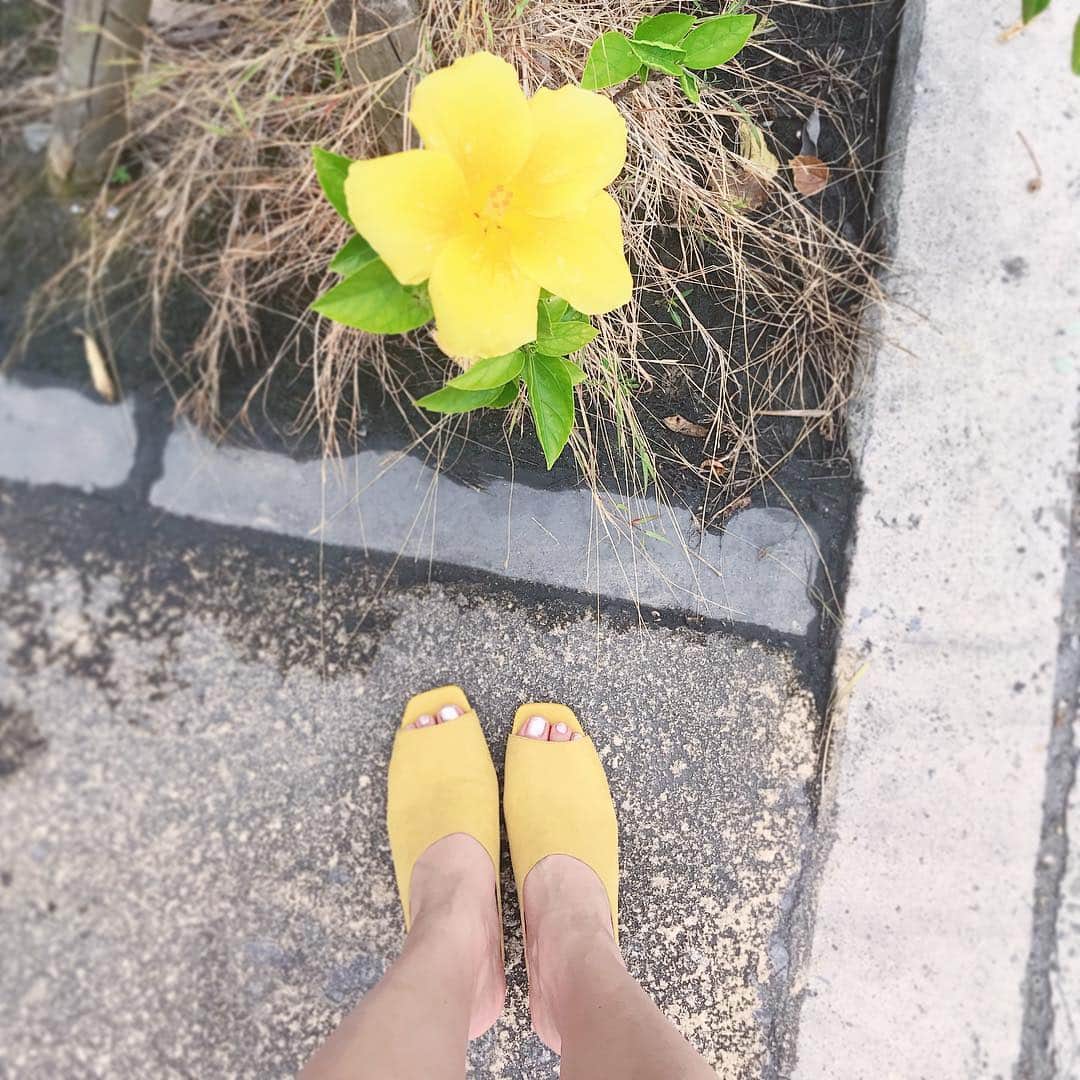 片山萌美さんのインスタグラム写真 - (片山萌美Instagram)「黄色。」6月6日 13時38分 - moet_mi