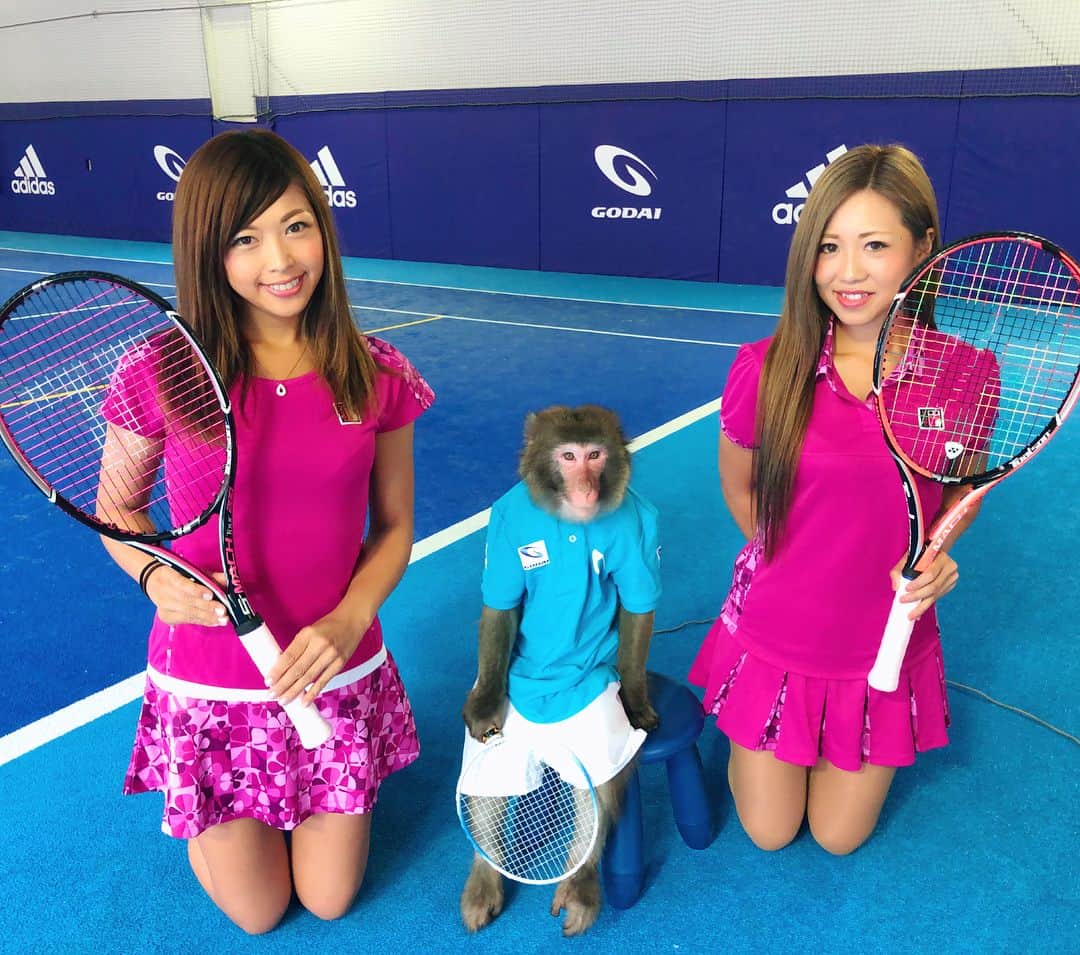 あおい夏海さんのインスタグラム写真 - (あおい夏海Instagram)「先日ゆかちんまる @yukachinmaru_golf と 世界で唯一テニスをする猿 @monkeytennissupportedby_godai  こと【リキ君】とテニスのCM撮影をしてきました🎵 リキ君めっちゃ可愛すぎてやばいー！ 虜になってしまった😍❤️ そのリキ君にテニスを教えてるのは、錦織圭選手などの解説などをしている吉崎さん @yoshizaki.yoshiyasu  実は昔から私たちのテニス仲間でもある💡  youtube「テニスをするサル」で、検索❤️ ウエアは @roche_official ゆかちんと双子コーデ🎵ピンクも可愛い❤️ ラケットはトアルソンだよ💕  #monkeytennis #テニスをするサル #ともきりき #godai  #テニス #テニス女子 #roche #双子コーデ #ミニスカ #テニス部 #硬式テニス #ソフトテニス #テニスウェア #テニスラケット #日光さる軍団 #吉崎仁康 #トアルソン #cm #猿 #動物 #monkey #テニスコート #ミニスカ #撮影 #トレーニング #可愛い  #テニスサークル #テニススクール」6月6日 14時14分 - natsumi.aoi