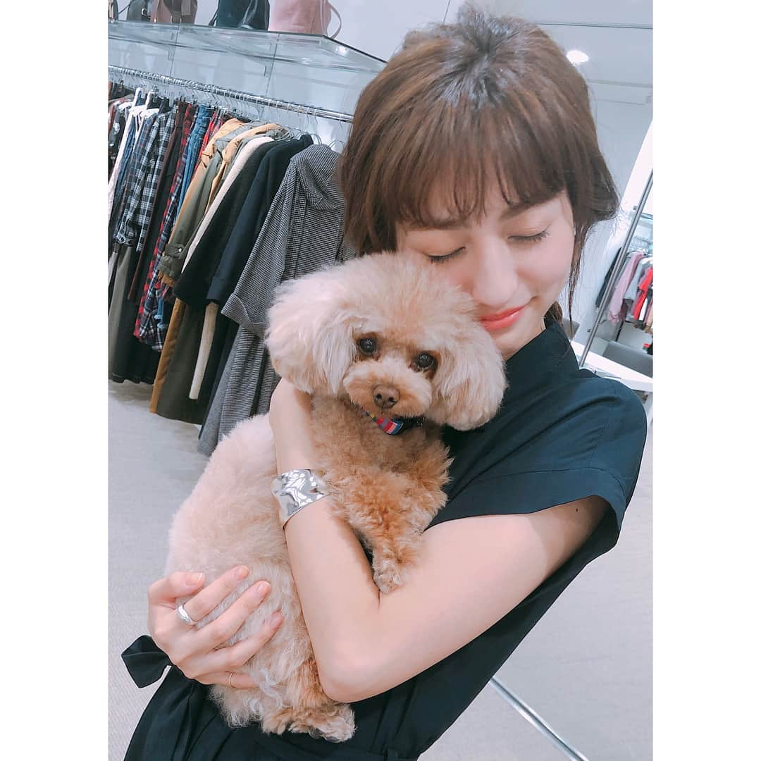 堀田茜さんのインスタグラム写真 - (堀田茜Instagram)「AiiAプレスさんの看板犬のまるちゃん🐩 全部カメラ目線だった😂 撮影中ずーっとぴょこぴょこ飛び跳ねてて部屋中駆け回ってて可愛すぎた。。 CanCamでまるちゃんまいまいと展示会を回るガチ企画なのでそちらもお楽しみに👗 @maru_margaret →🐩❤️」6月6日 7時42分 - akanehotta