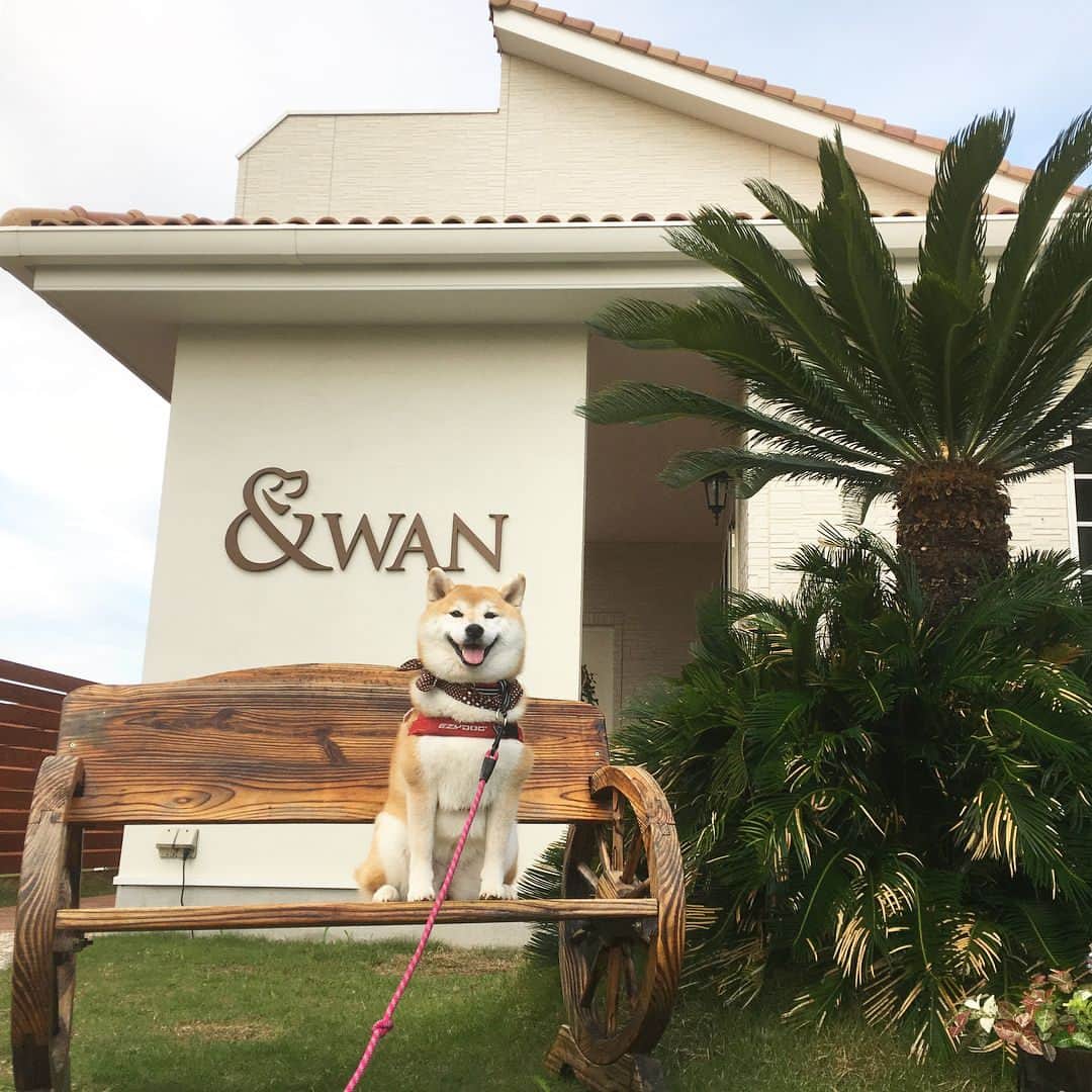 てんパパのグルメインスタ