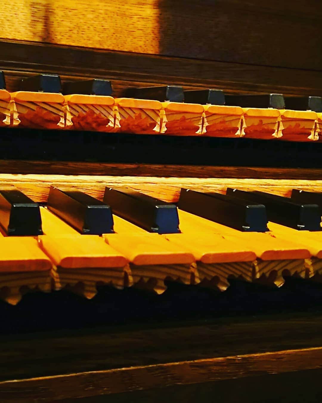 梅田陽子さんのインスタグラム写真 - (梅田陽子Instagram)「お世話になっている楽器さんたち。 #チェンバロ #オルガン #ガルニエ #久保田チェンバロ工房 #欲しい #練習 #大人になっても勉強 #music #鍵盤 #鍵盤きれい」6月6日 14時40分 - yokoumeda