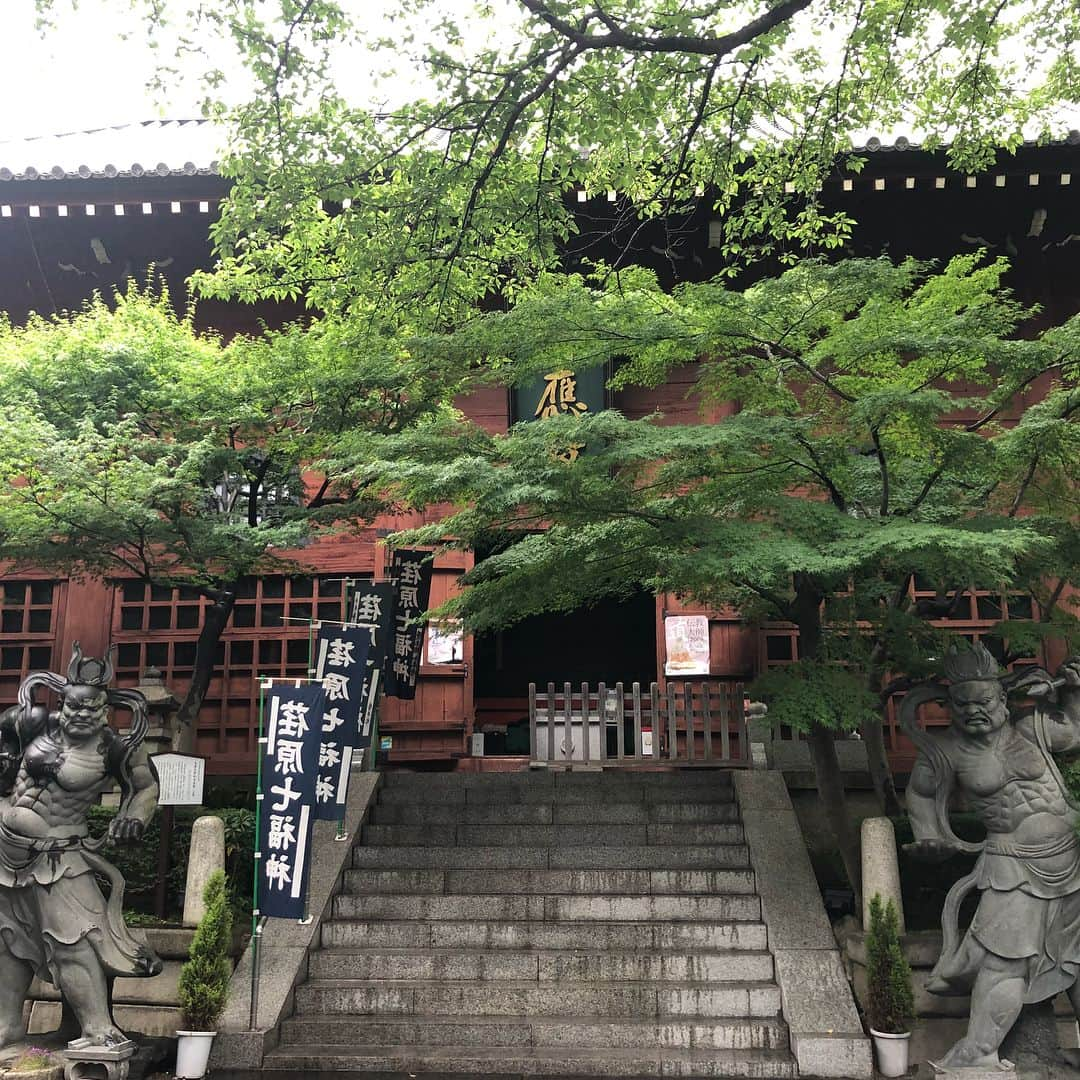 田中えみさんのインスタグラム写真 - (田中えみInstagram)「【養玉院如来寺】 五智如来を目的に行ってきた。 境内は緑豊かで参道がとても綺麗でした。が、修繕中らしく、如来の前に足場が組まれていて、私物も散乱していてとても残念なお堂でした。 迫力のある顔立ちと出で立ちで、印象深い如来像が5体も住宅街に安置されているロケーションは面白かった。 #仏像 #仏女 #西大井 #養玉院如来寺 #仏像好き #如来像 #寺 #東京 #五智如来」6月6日 15時17分 - emiitanakaa