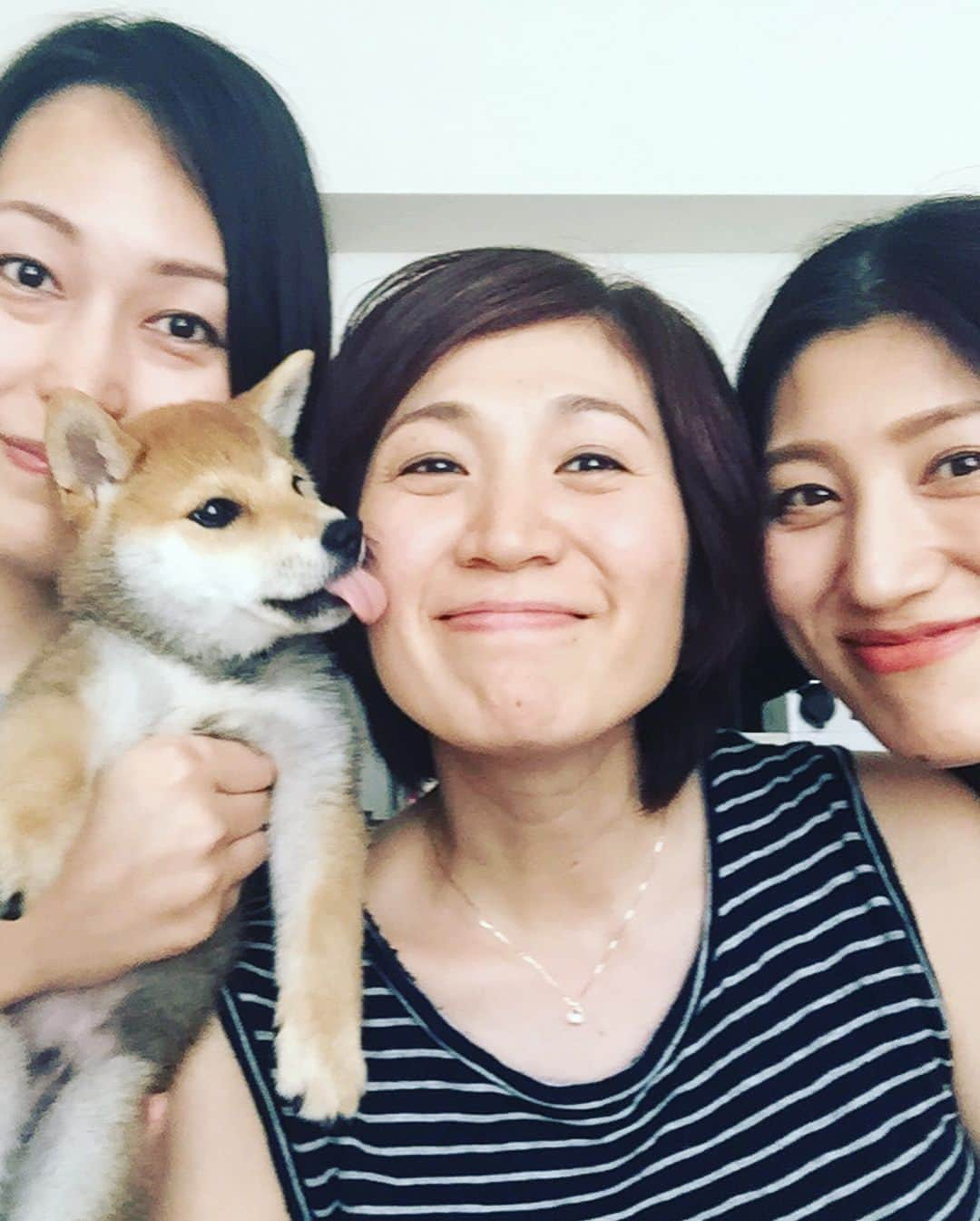 高橋みゆきさんのインスタグラム写真 - (高橋みゆきInstagram)「会えたよ〜😍🐶もう可愛すぎて癒された😆だいずと何とか写真撮ろうと必死🤳カナブンとすぎちゃんにも会えたし🎶楽しかった❣️あっという間に時間過ぎた😭 #だいず #豆柴 #カナブン #スギちゃん #妊婦 #次はクラ吉も #このお菓子の量 #ありがとう」6月7日 17時15分 - shin_miyukichi