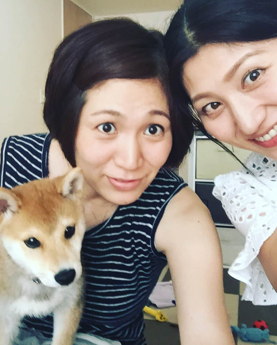 高橋みゆきさんのインスタグラム写真 - (高橋みゆきInstagram)「会えたよ〜😍🐶もう可愛すぎて癒された😆だいずと何とか写真撮ろうと必死🤳カナブンとすぎちゃんにも会えたし🎶楽しかった❣️あっという間に時間過ぎた😭 #だいず #豆柴 #カナブン #スギちゃん #妊婦 #次はクラ吉も #このお菓子の量 #ありがとう」6月7日 17時15分 - shin_miyukichi