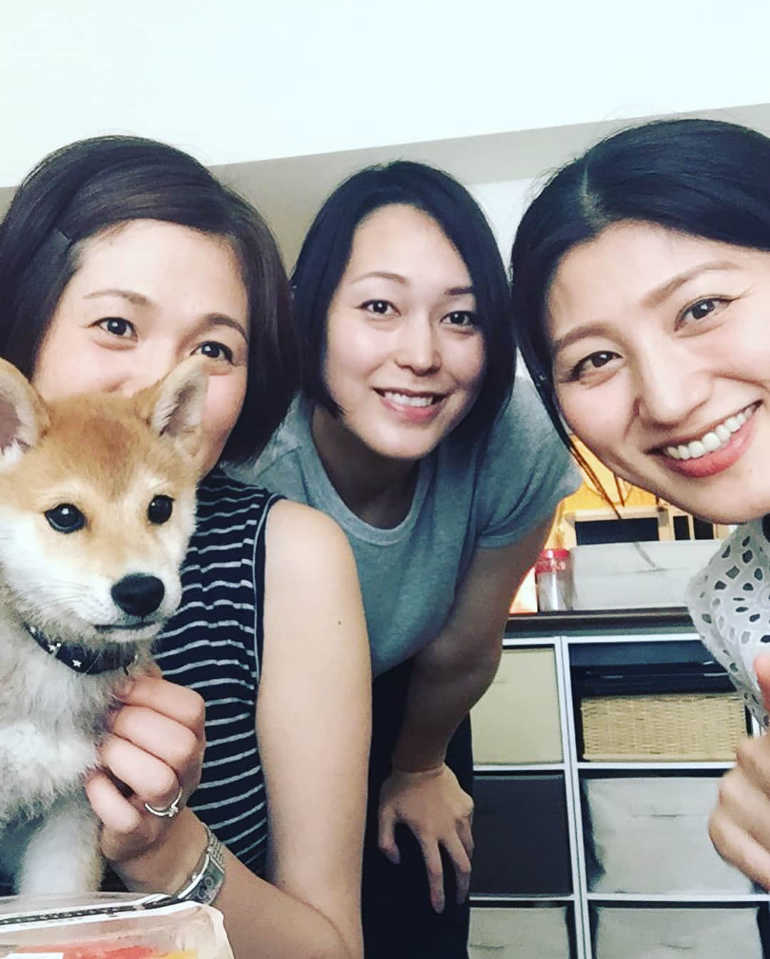 高橋みゆきさんのインスタグラム写真 - (高橋みゆきInstagram)「会えたよ〜😍🐶もう可愛すぎて癒された😆だいずと何とか写真撮ろうと必死🤳カナブンとすぎちゃんにも会えたし🎶楽しかった❣️あっという間に時間過ぎた😭 #だいず #豆柴 #カナブン #スギちゃん #妊婦 #次はクラ吉も #このお菓子の量 #ありがとう」6月7日 17時15分 - shin_miyukichi