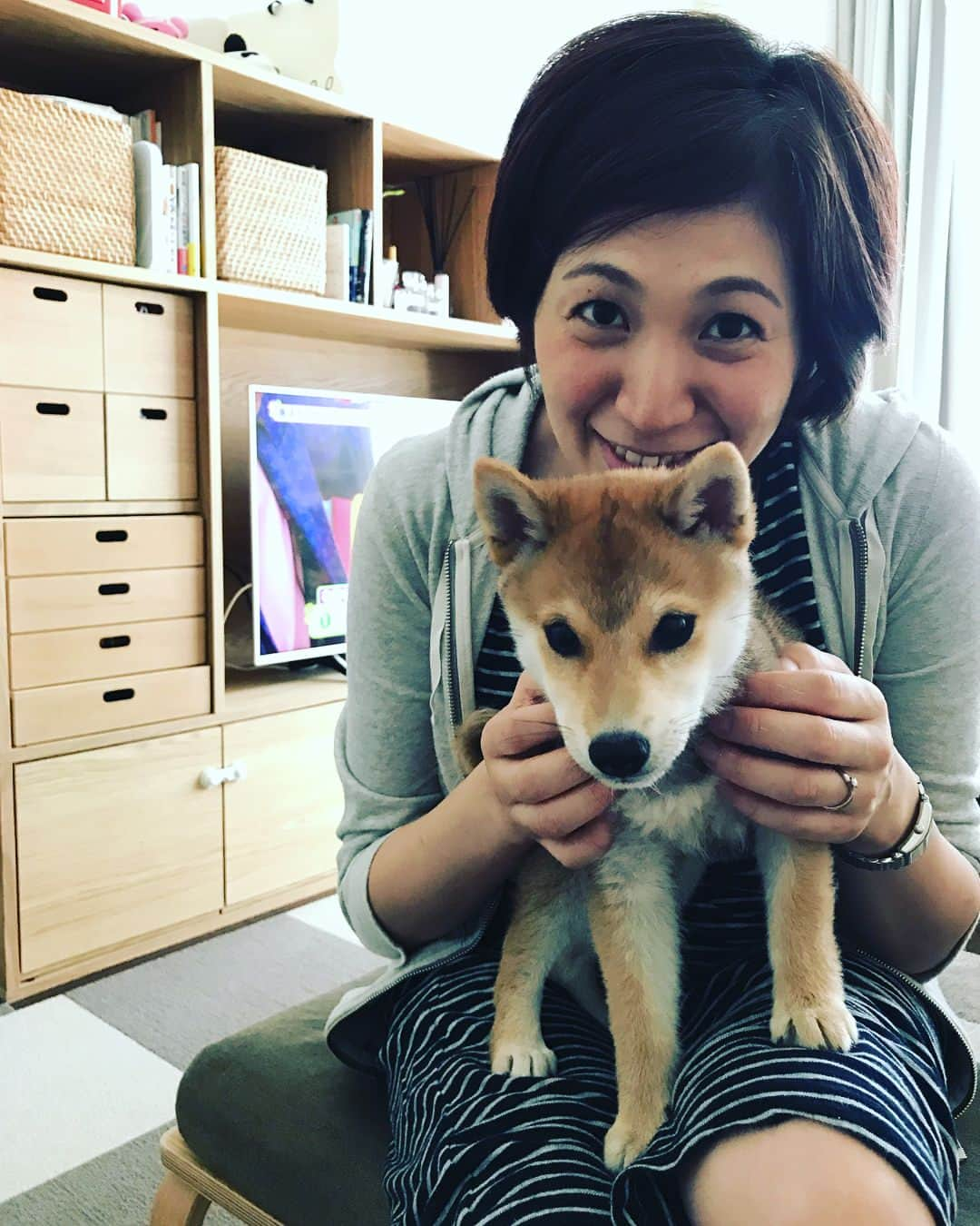 高橋みゆきさんのインスタグラム写真 - (高橋みゆきInstagram)「会えたよ〜😍🐶もう可愛すぎて癒された😆だいずと何とか写真撮ろうと必死🤳カナブンとすぎちゃんにも会えたし🎶楽しかった❣️あっという間に時間過ぎた😭 #だいず #豆柴 #カナブン #スギちゃん #妊婦 #次はクラ吉も #このお菓子の量 #ありがとう」6月7日 17時15分 - shin_miyukichi