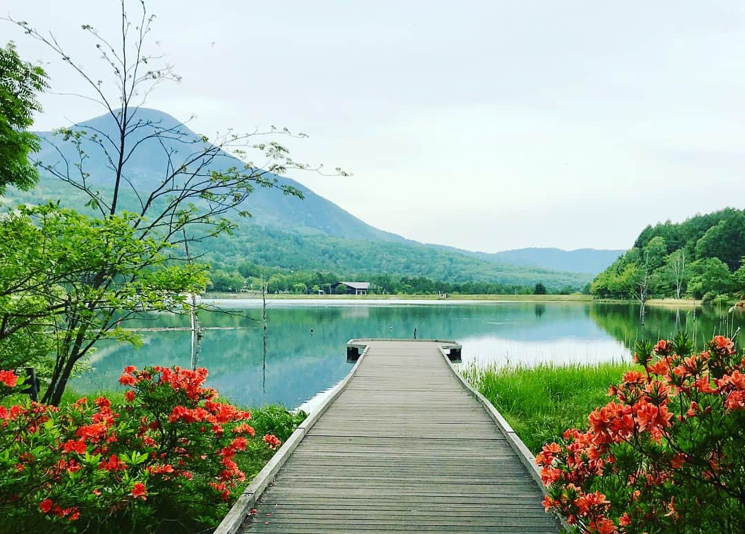 湯田友美さんのインスタグラム写真 - (湯田友美Instagram)「夢の教室 by JFA⚽️ ユメセンで、長野県立科町へ行ってきました！ 子供達と本気で遊んで、本気で学ぶ時間。 毎回、言葉では言い表せない経験😊 立科町、ランニングのコースも最高でした🍦 標高またまた1500m！！！🤣 ・ I go back to junior high school student🤣ha This is dream project for children by JFA😊 #夢の教室 #ユメセン #JFA #長野 #立科町 久々の#給食 #juniorhighschool #lunchtime #Nagano #Tateshina」6月7日 17時15分 - yudatomomi