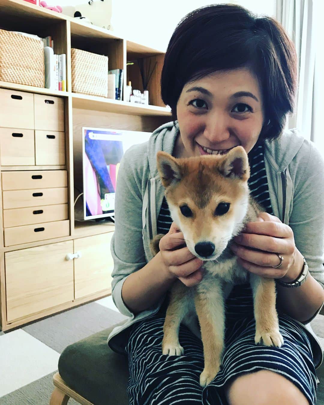 高橋みゆきのインスタグラム：「会えたよ〜😍🐶もう可愛すぎて癒された😆だいずと何とか写真撮ろうと必死🤳カナブンとすぎちゃんにも会えたし🎶楽しかった❣️あっという間に時間過ぎた😭 #だいず #豆柴 #カナブン #スギちゃん #妊婦 #次はクラ吉も #このお菓子の量 #ありがとう」