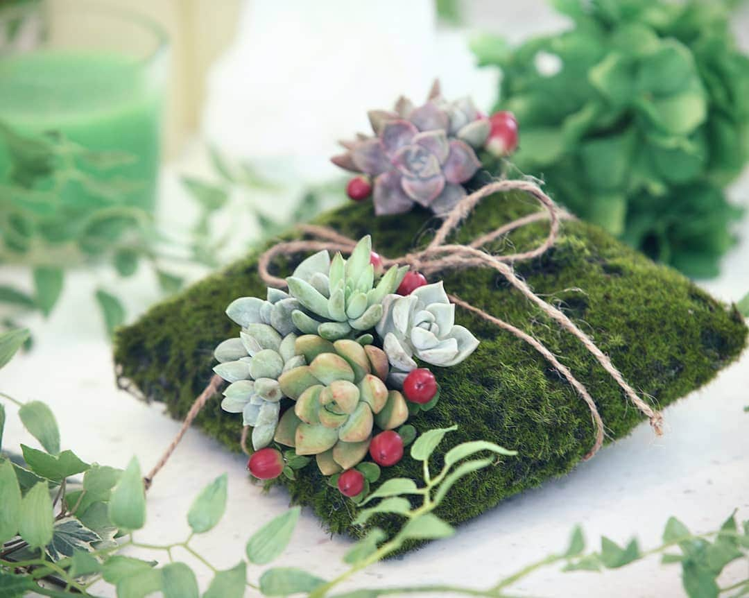 deuxzero デゼーロさんのインスタグラム写真 - (deuxzero デゼーロInstagram)「＊sweet succulents＊ . . フェイクじゃなくて本物の自然を肌で感じて欲しいから…新鮮な本物の多肉植物で演出♡植物達から放たれる生きたエネルギーが、ウェディングを更に華やげます。 . . #結婚式アイテム #ウェディングアイテム #リングピロー #多肉植物 #ナチュラルウェディング #オリジナル演出 #ウェディング #ウェディング準備 #ブライダル #ブライダルフェア #結婚式 #結婚式場 #結婚式準備 #式場探し #花嫁準備 #wedding #ポートアイランド #神戸 #神戸市 #神戸花嫁 #ブライダルハート #ウェディングソムリエ #デゼーロ」6月7日 9時23分 - deuxzero_kobe_wedding