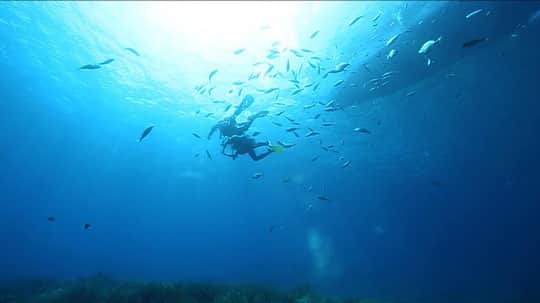 朝日放送「朝だ！生です旅サラダ」さんのインスタグラム写真 - (朝日放送「朝だ！生です旅サラダ」Instagram)「@aiaoki_official  #マルタの海 で初ダイビング🧜🏼‍♀️💙 世界中のダイバーが憧れるこんな素敵な海に潜れるなんて。。。 #ライセンス取得 しててよかったぁ〜😭✨ 潜った海は明るいブルー🏝💙 写真、加工してなくてこの色です🙌🏻笑 上から見ても綺麗でしたが、潜るとさらに綺麗でした😭✨✨ #海底洞窟 から見える、光の差し込んだ海は本当に神秘的💙✨ 魚に囲まれすぎて、視界からインストラクターさんとカメラさんが消えました🤣🐠🐠🐠笑 すごく思い出に残る #初ダイビング になりました☺️💙 ・ ・ #ダイバーの憧れ #ダイビング #透明度抜群  #洞窟ダイビング #神秘的 #海の中 #ヴァレッタ #Valletta #マルタ共和国 #マルタ島  _ #ABCテレビ #朝日放送テレビ #朝だ生です旅サラダ #旅サラダ #旅サラダガールズ #新サラダガールズ #8期生 #青木愛 #土曜 #あさ8時 #シンクロ #元日本代表 #海外 #旅  #travel #trip @ Valletta, Malta」6月7日 20時11分 - tabisalad