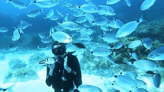 朝日放送「朝だ！生です旅サラダ」のインスタグラム