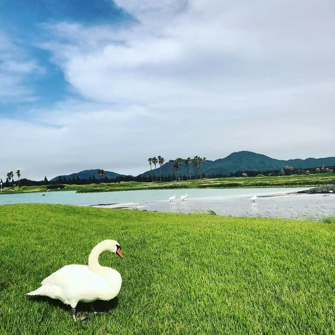 井上沙紀さんのインスタグラム写真 - (井上沙紀Instagram)「鳥🦆🦅🦉 . #ゴルフ #GOLF  #jfe瀬戸内海ゴルフ倶楽部」6月7日 20時48分 - inouesaki_1997