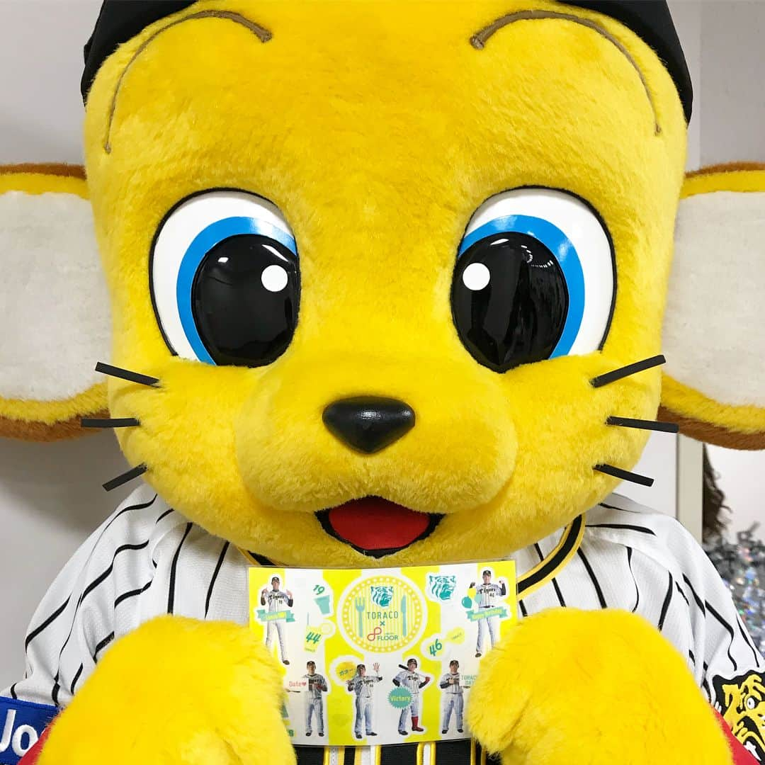 阪神タイガースさんのインスタグラム写真 - (阪神タイガースInstagram)「明日はTORACO DAY☆ TORACO  DAY限定の秋山投手のパネルでキー太が一緒に記念撮影✨ #秋山拓巳 選手 #パネル #キー太 #実は背が足りなくて台に乗りました 😅 #撮影に参加してくれた記念にシールをプレゼント #それをキー太は秋山選手パネルにプレゼント #優しいキー太 #❤️ #偶然通りかかった #栗山通訳 も記念に📷 #キー太も栗山通訳も男の子 #TORACOはタイガースを応援する女の子 #toraco の #みんなもぜひ #撮影してね ！」6月8日 11時42分 - hanshintigers_official