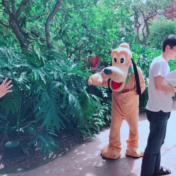 のインスタグラム：「プルート可愛いー❤️✨😍 会えて感激✨✨❤️ アウラニの敷地内にたくさんディズニーキャラクターがいて写真たくさん撮れちゃいますー！  #アウラニディズニー #アウラニディズニーリゾートアンドスパ」