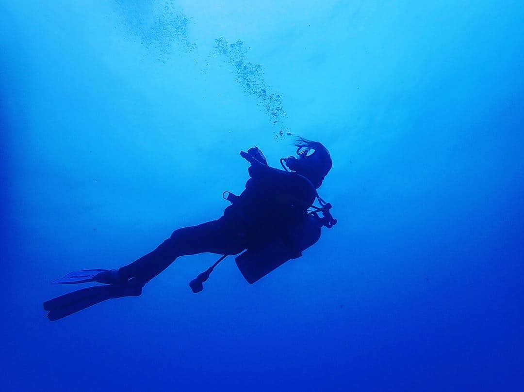 眞木美咲パメラのインスタグラム