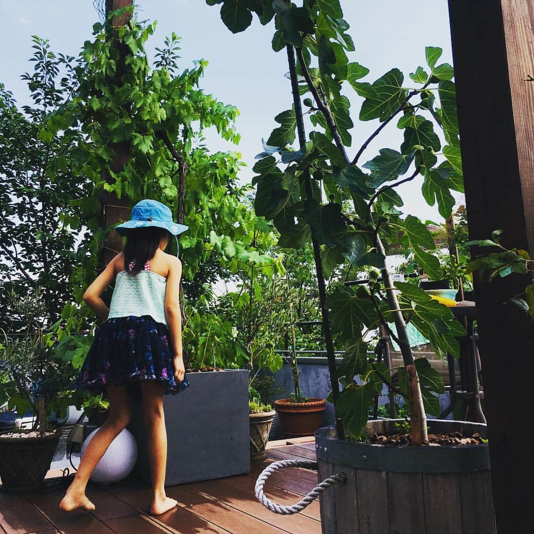 高岡早紀 さんのインスタグラム写真 - (高岡早紀 Instagram)「今日もとても良いお天気だったね。 植物がどんどん育ってゆくよ…  #早紀おウチガーデニング」6月9日 16時52分 - saki_takaoka
