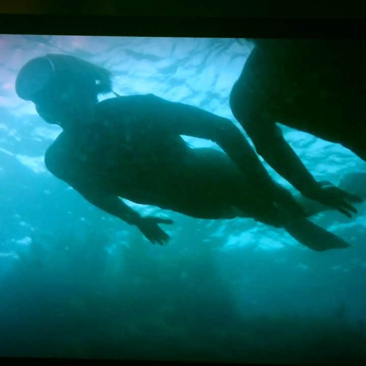 サイモン・ベイカーのインスタグラム：「Here’s to ocean conservation on World Oceans Day 🌏 #planetearthisblue #love #respect #mothernature #breathfilm」